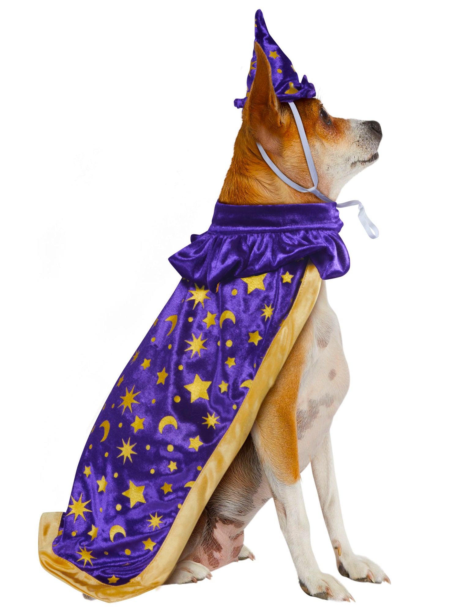 Wizard Pet Costume - costumes.com