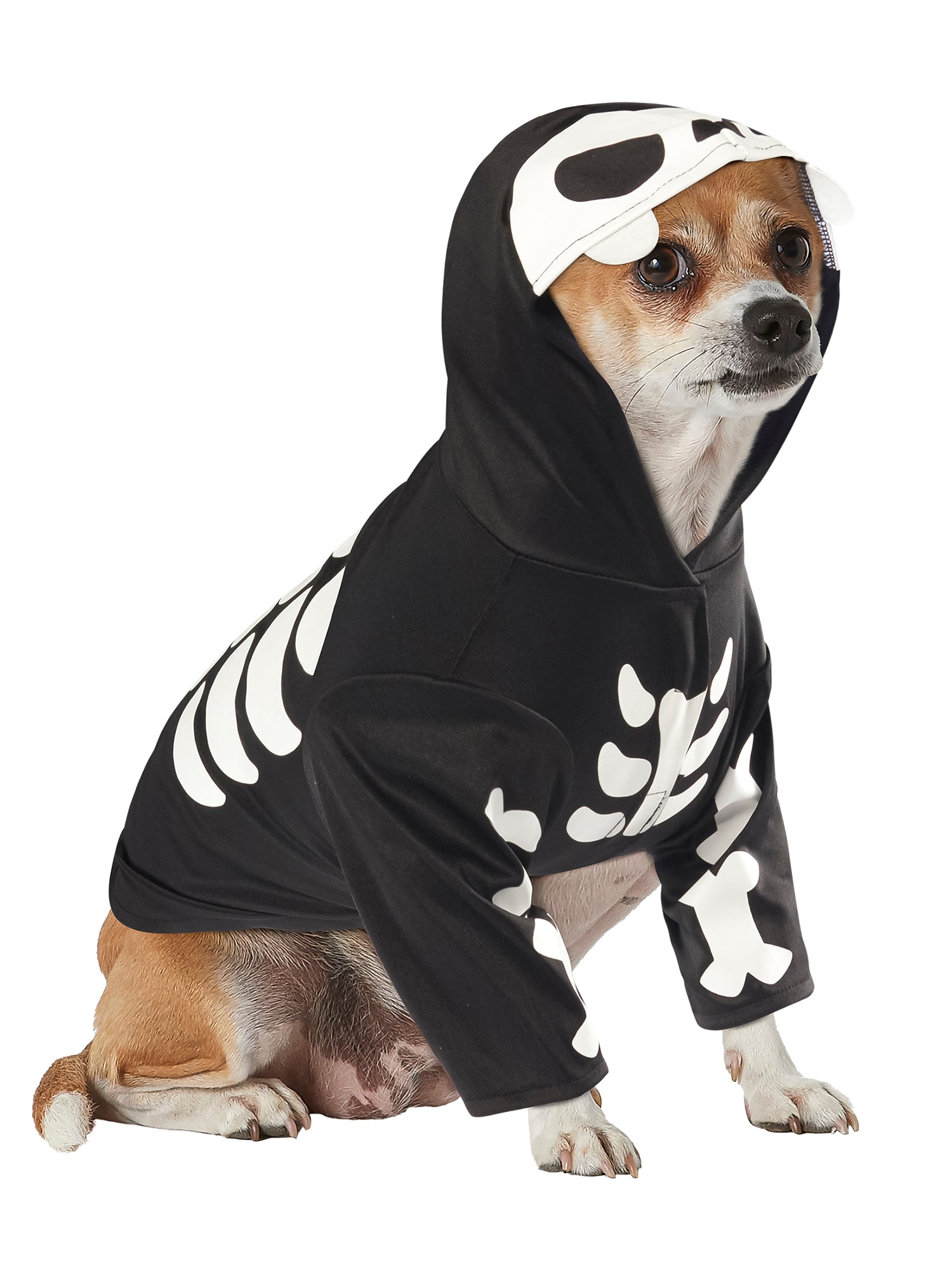 Skeleton Pet Costume - costumes.com