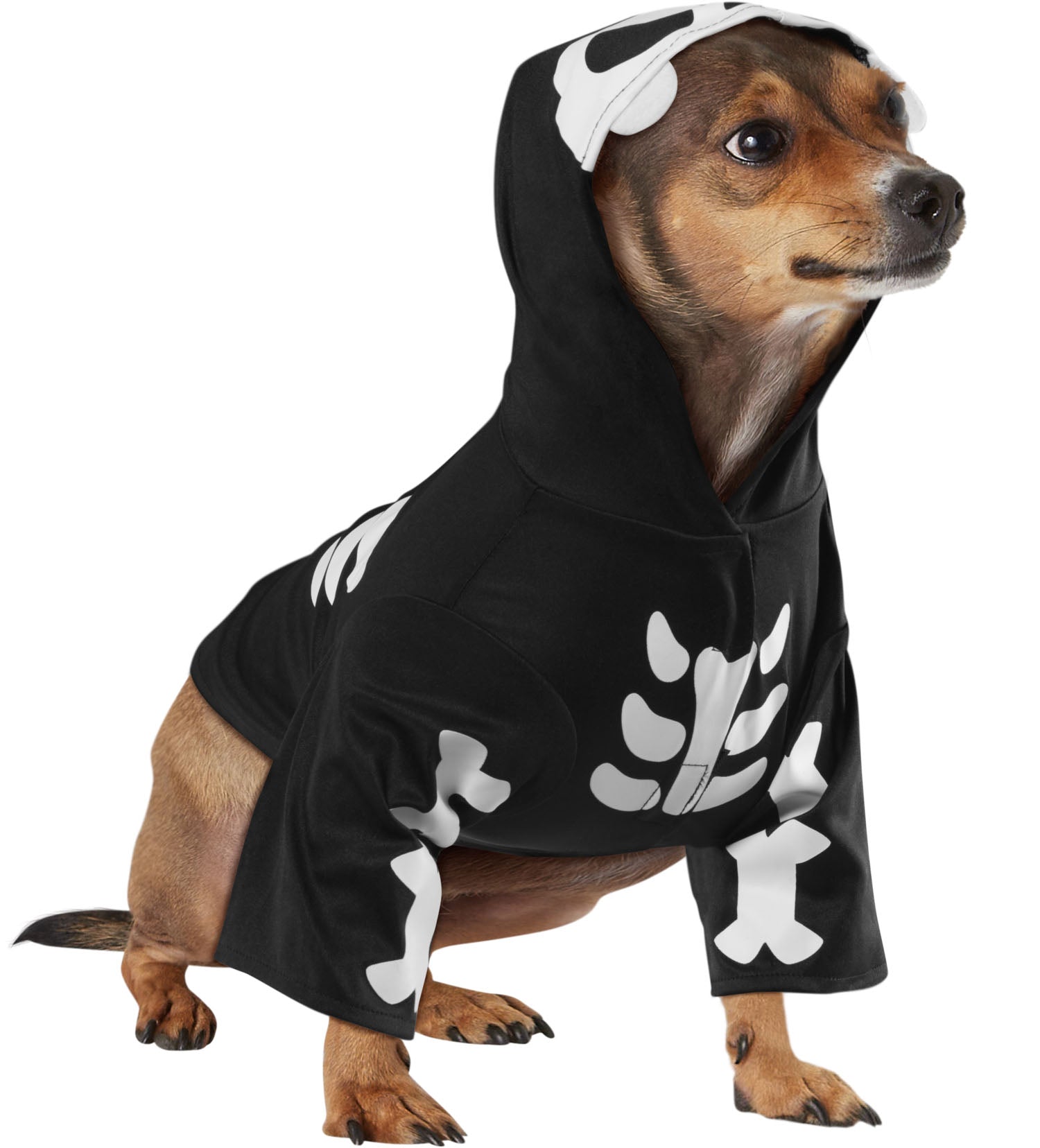 Skeleton Pet Costume - costumes.com