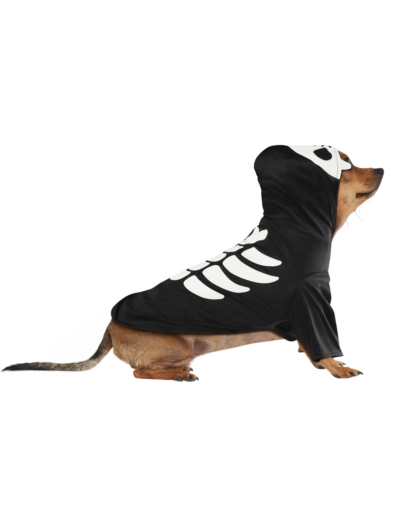 Skeleton Pet Costume - costumes.com
