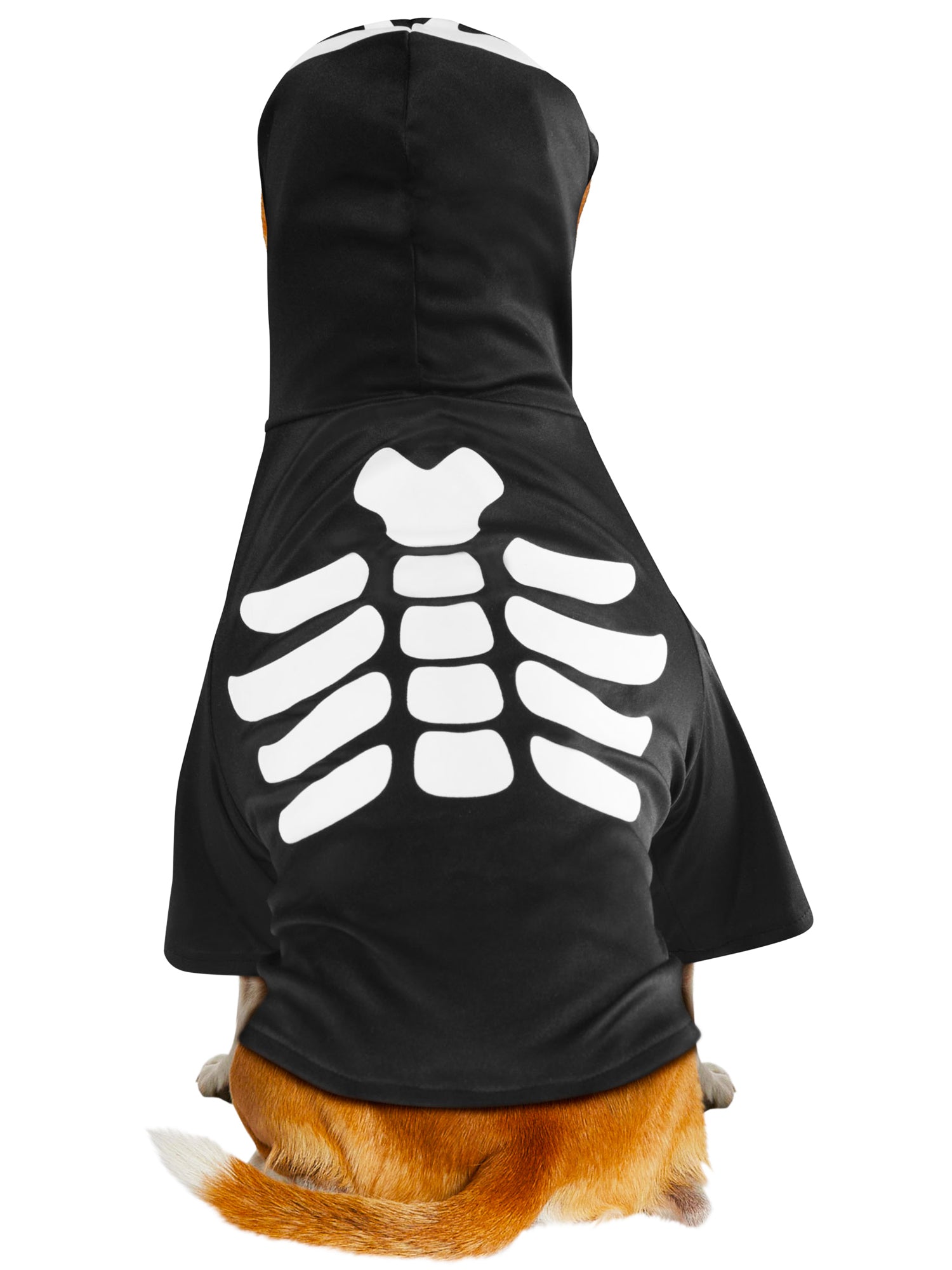 Skeleton Pet Costume - costumes.com