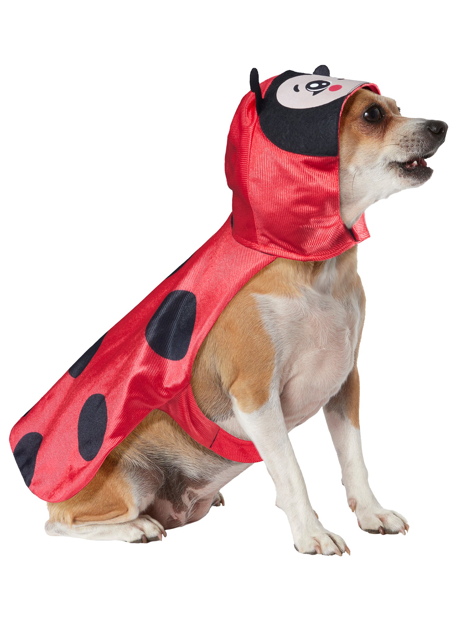 Ladybug Pet Costume - costumes.com