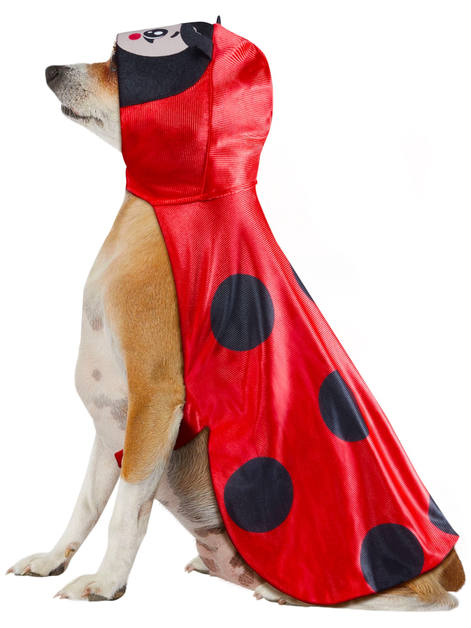 Ladybug Pet Costume - costumes.com