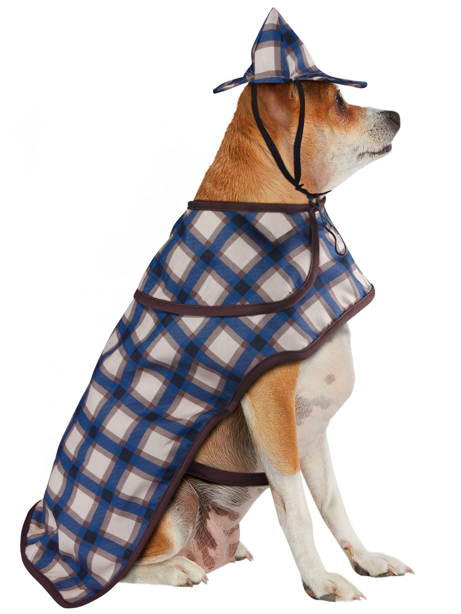 Detective Pet Costume - costumes.com