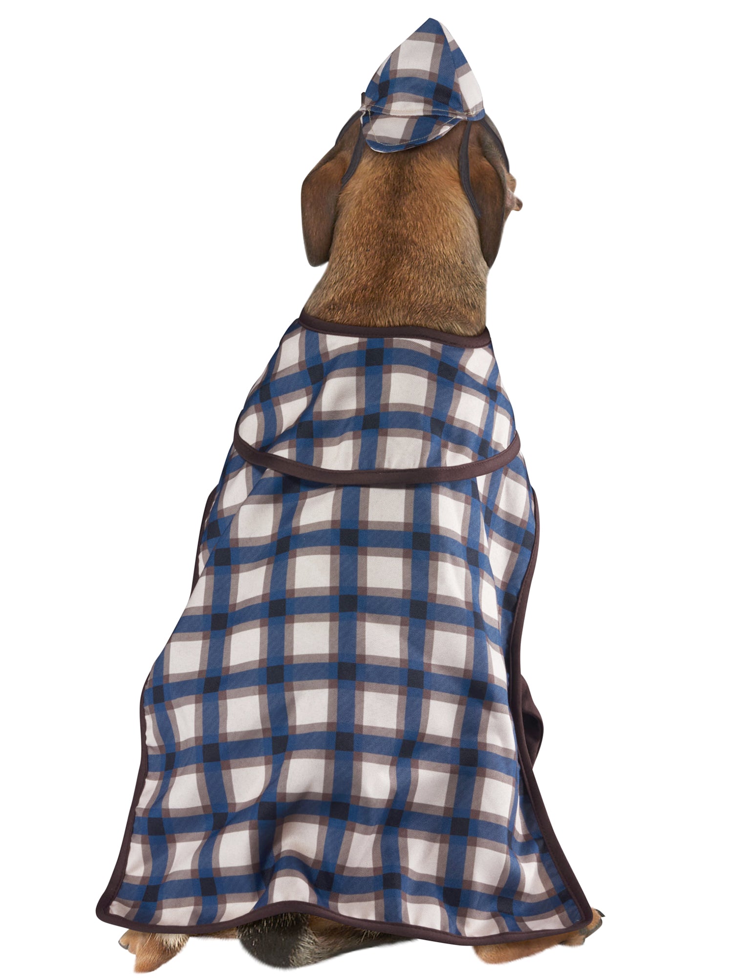 Detective Pet Costume - costumes.com