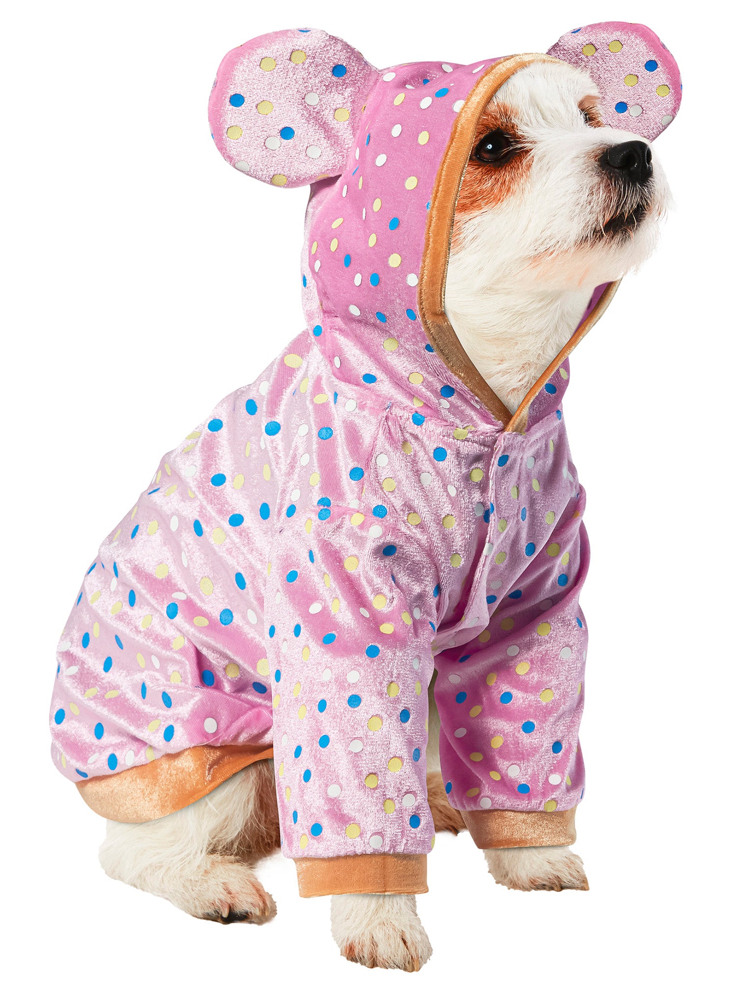 Animal Cookie Pet Costume - costumes.com