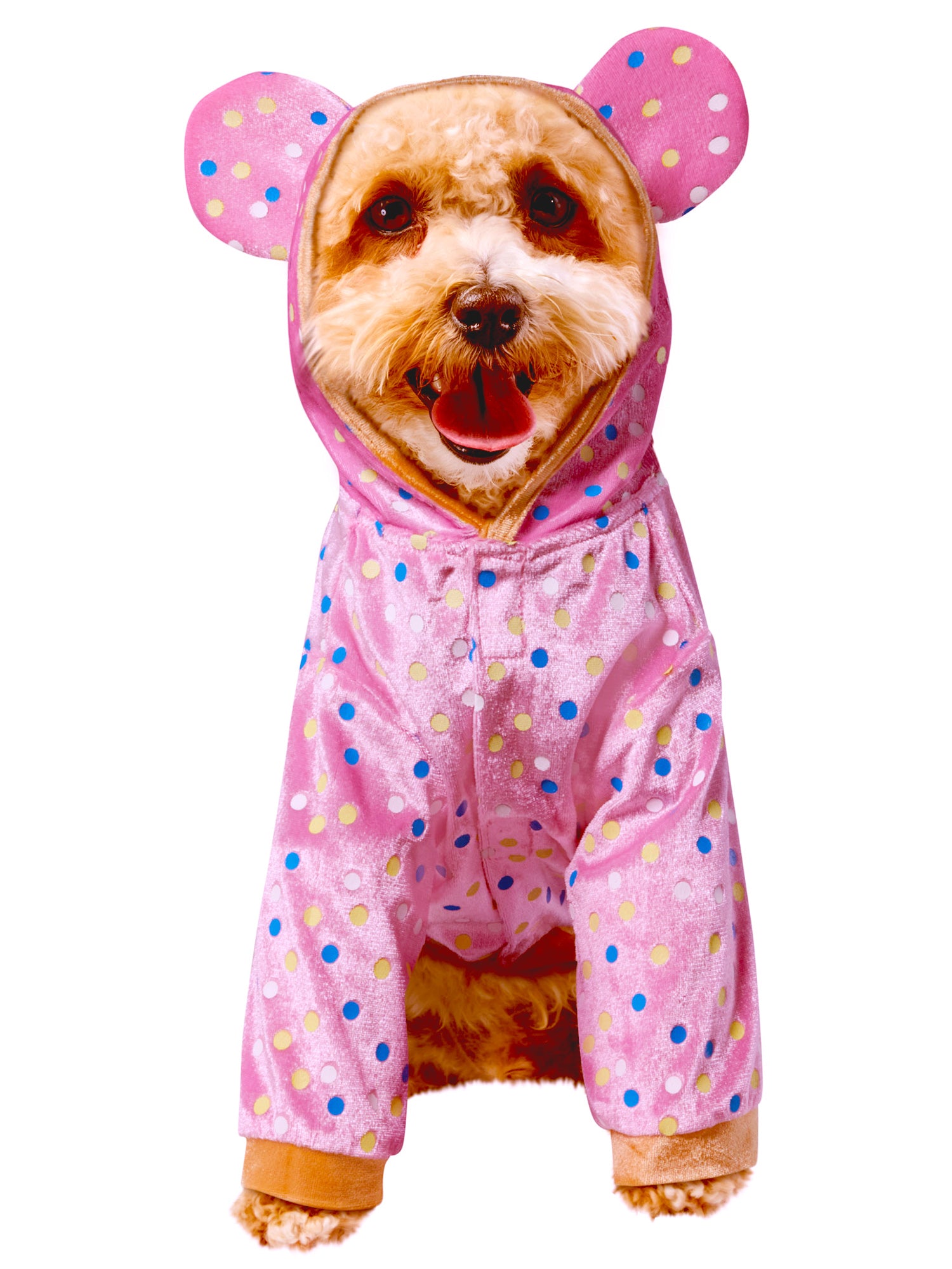 Animal Cookie Pet Costume - costumes.com