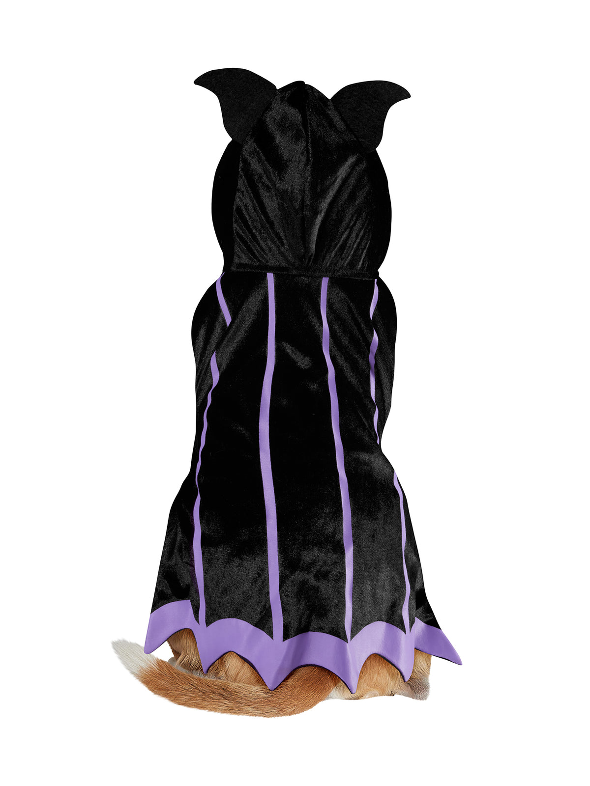 Bat Pet Cape - costumes.com
