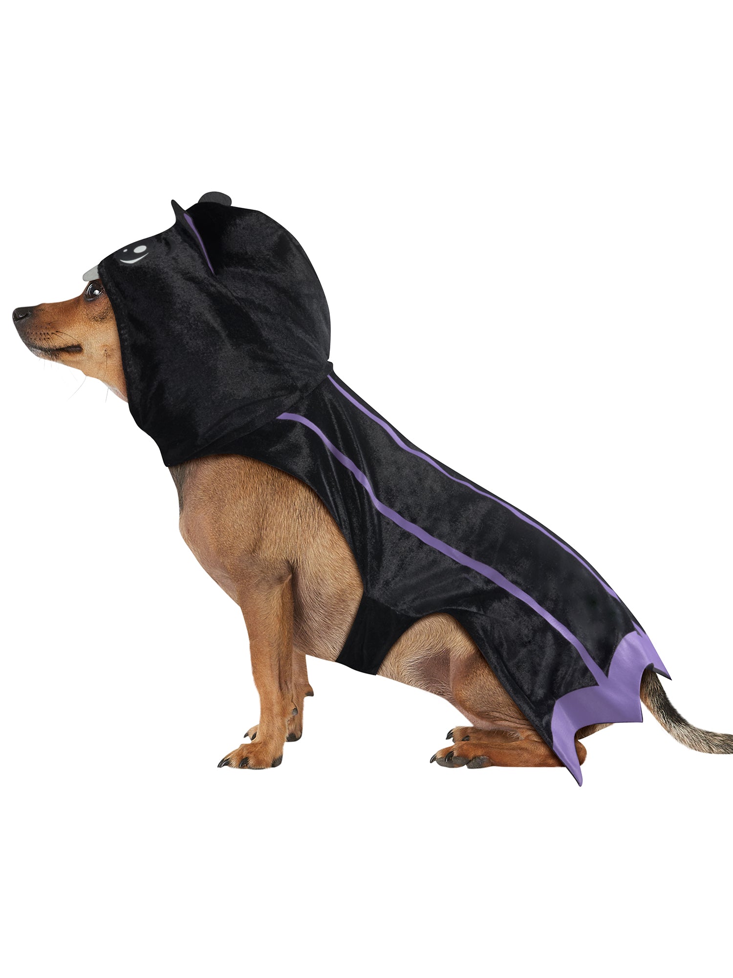 Bat Pet Cape - costumes.com