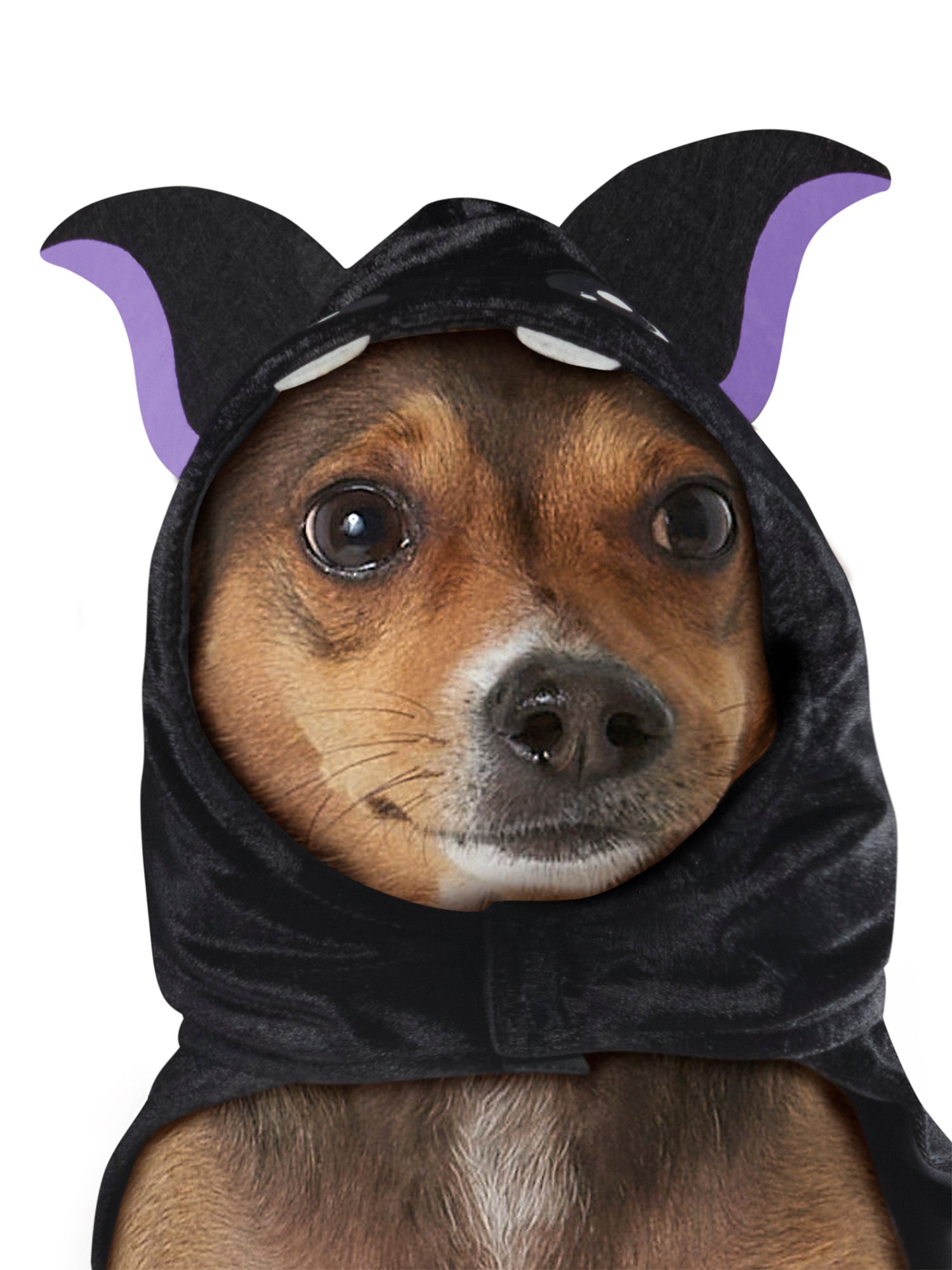 Bat Pet Cape - costumes.com