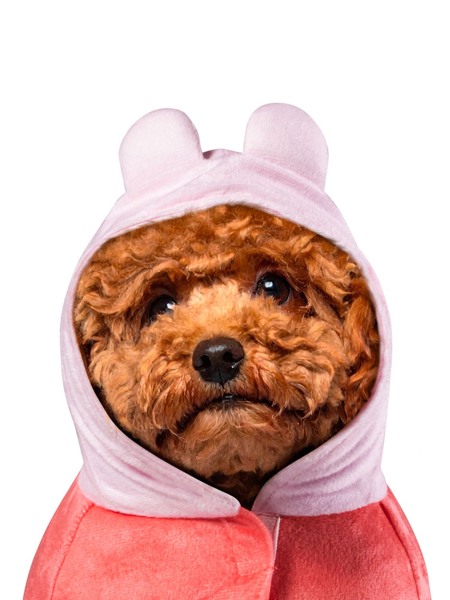 Peppa Pig Pet Costume - costumes.com