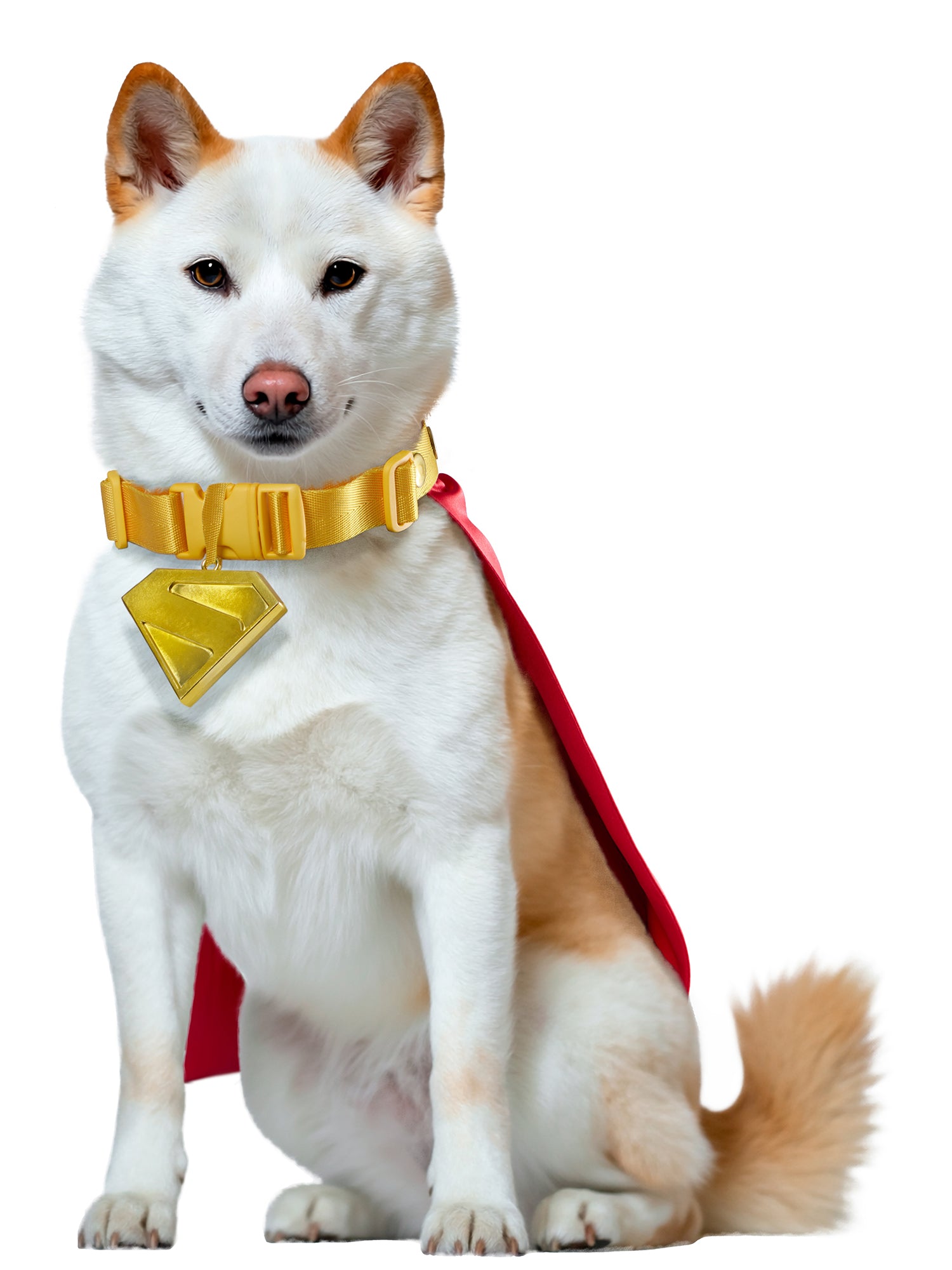 Supergirl Movie 2026 Krypto Pet Collar and Cape- Deluxe (PRE-ORDER) - costumes.com