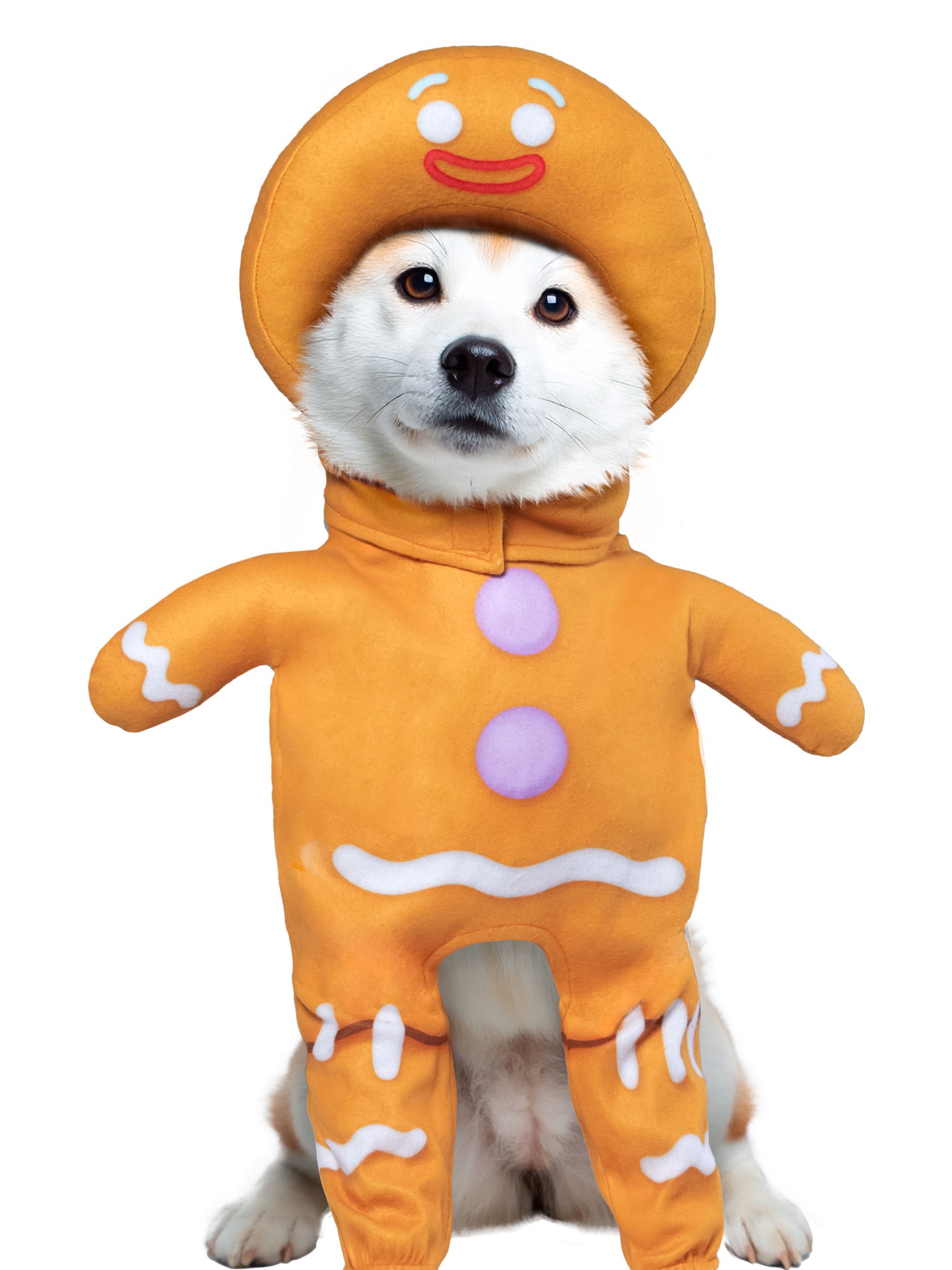 Shrek Gingy The Gingerbread Man Walking Pet Costume - costumes.com