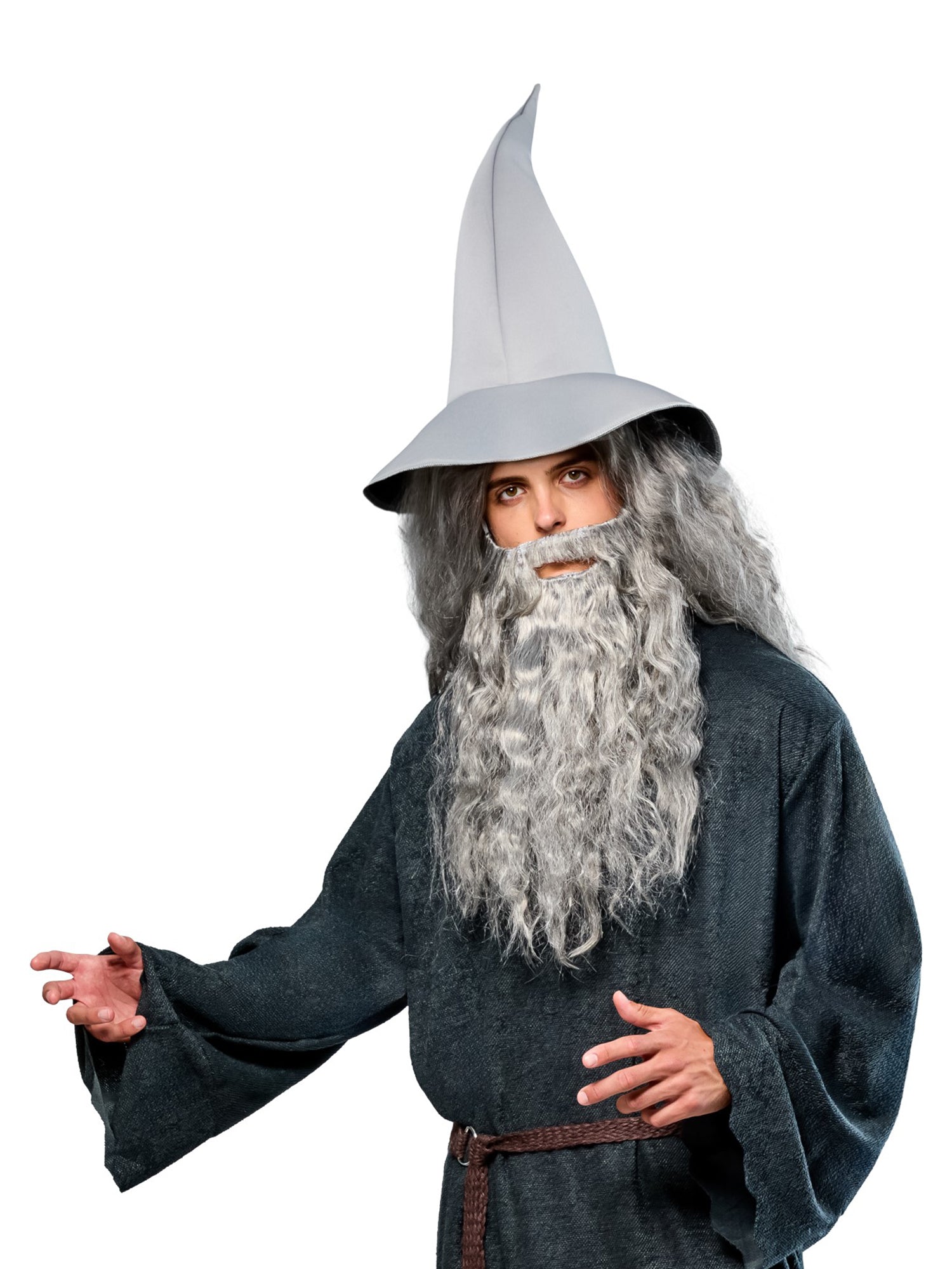Adult The Lord of the Rings Gandalf Beard - costumes.com