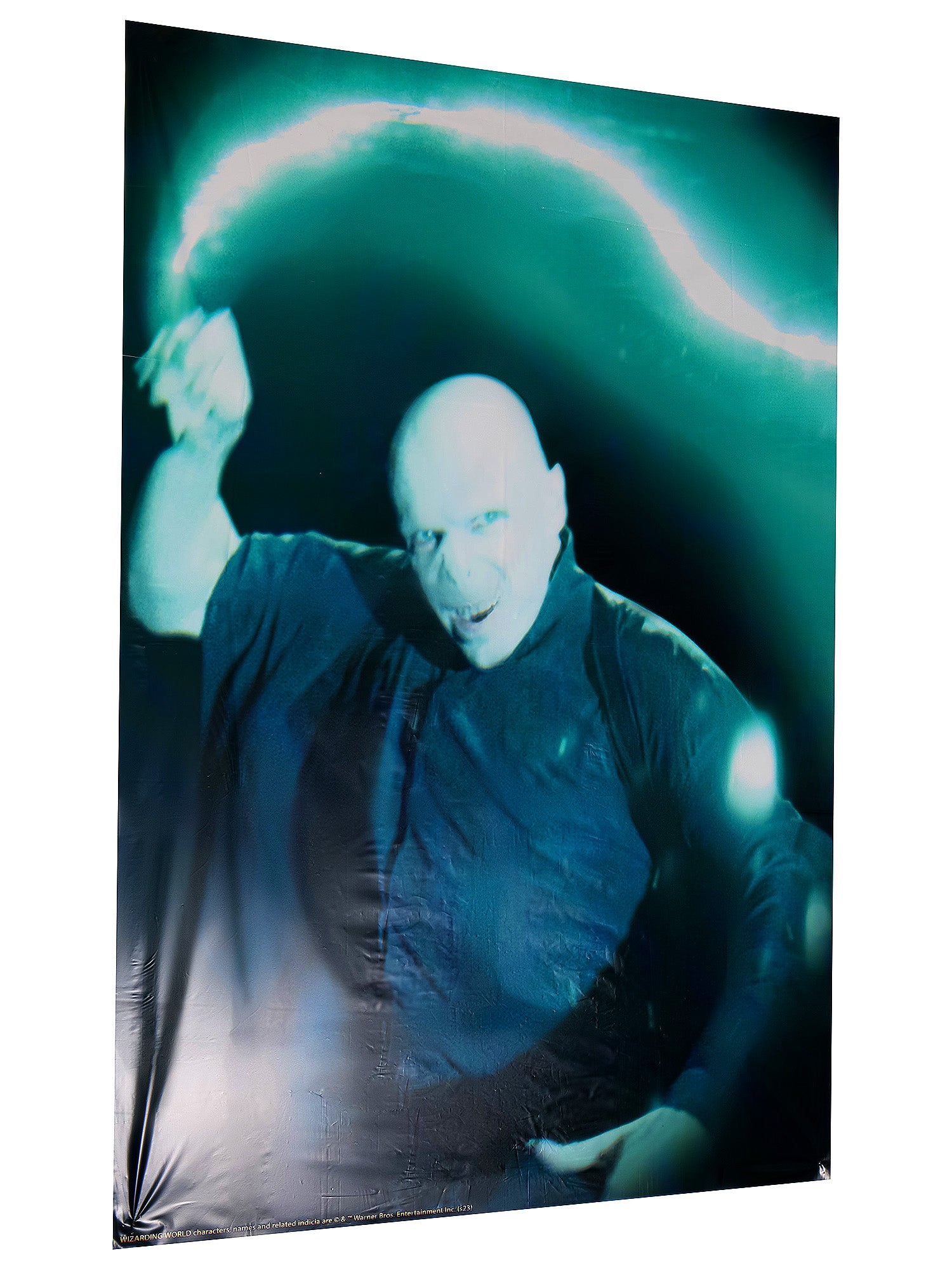 Harry Potter Voldemort Window Cover Decoration - costumes.com