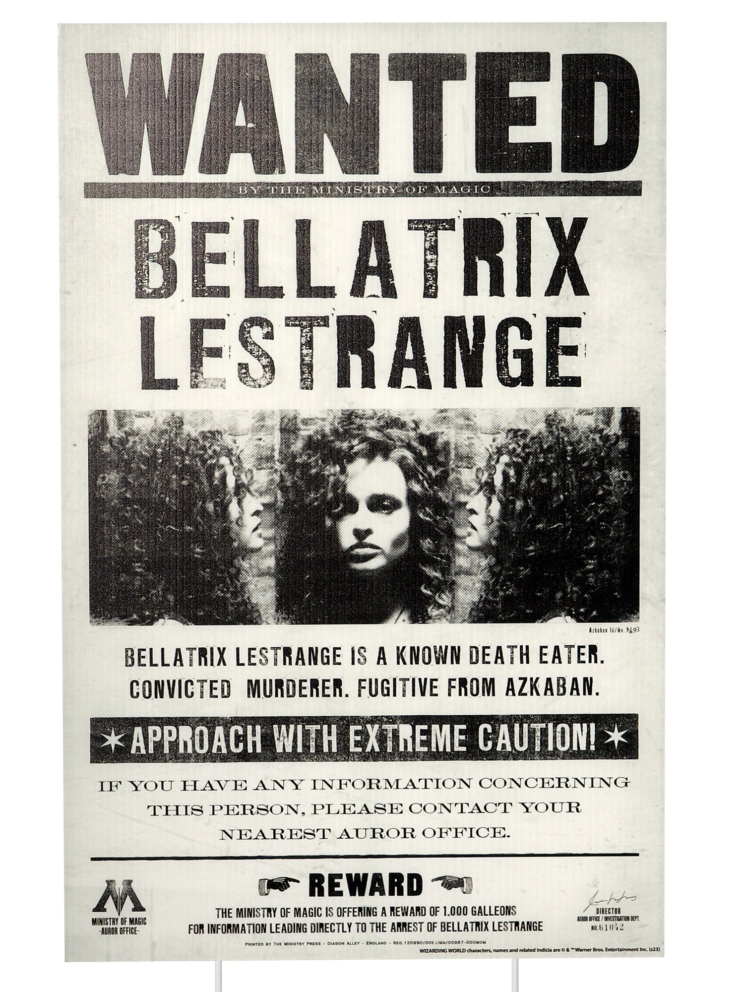 Harry Potter Wanted Signs Lawn Decoration - costumes.com