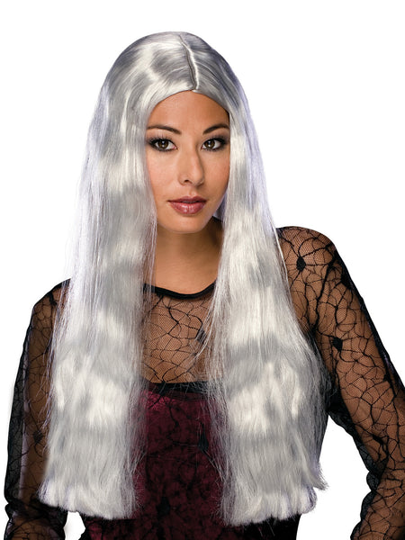 Women's Long Silver Wizard Wig