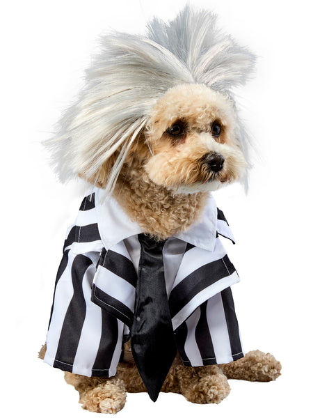 Beetlejuice Beetlejuice Pet Costume