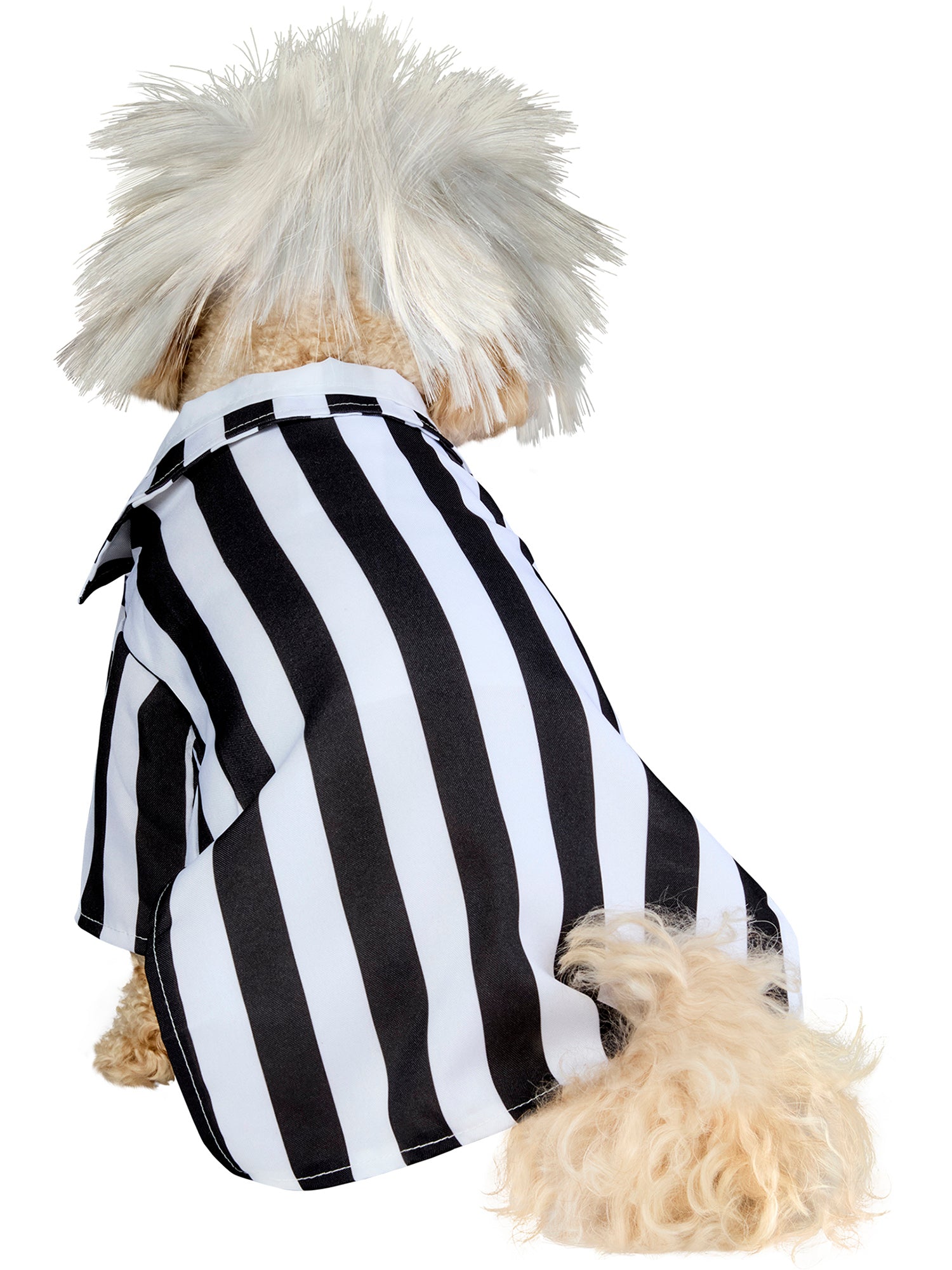 Beetlejuice Beetlejuice Pet Costume - costumes.com