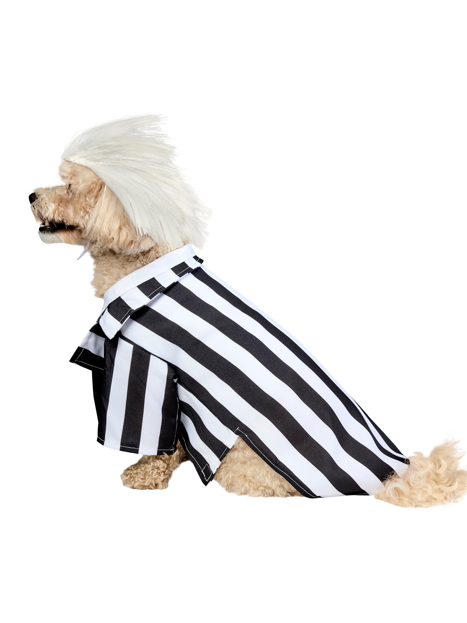 Beetlejuice Beetlejuice Pet Costume - costumes.com