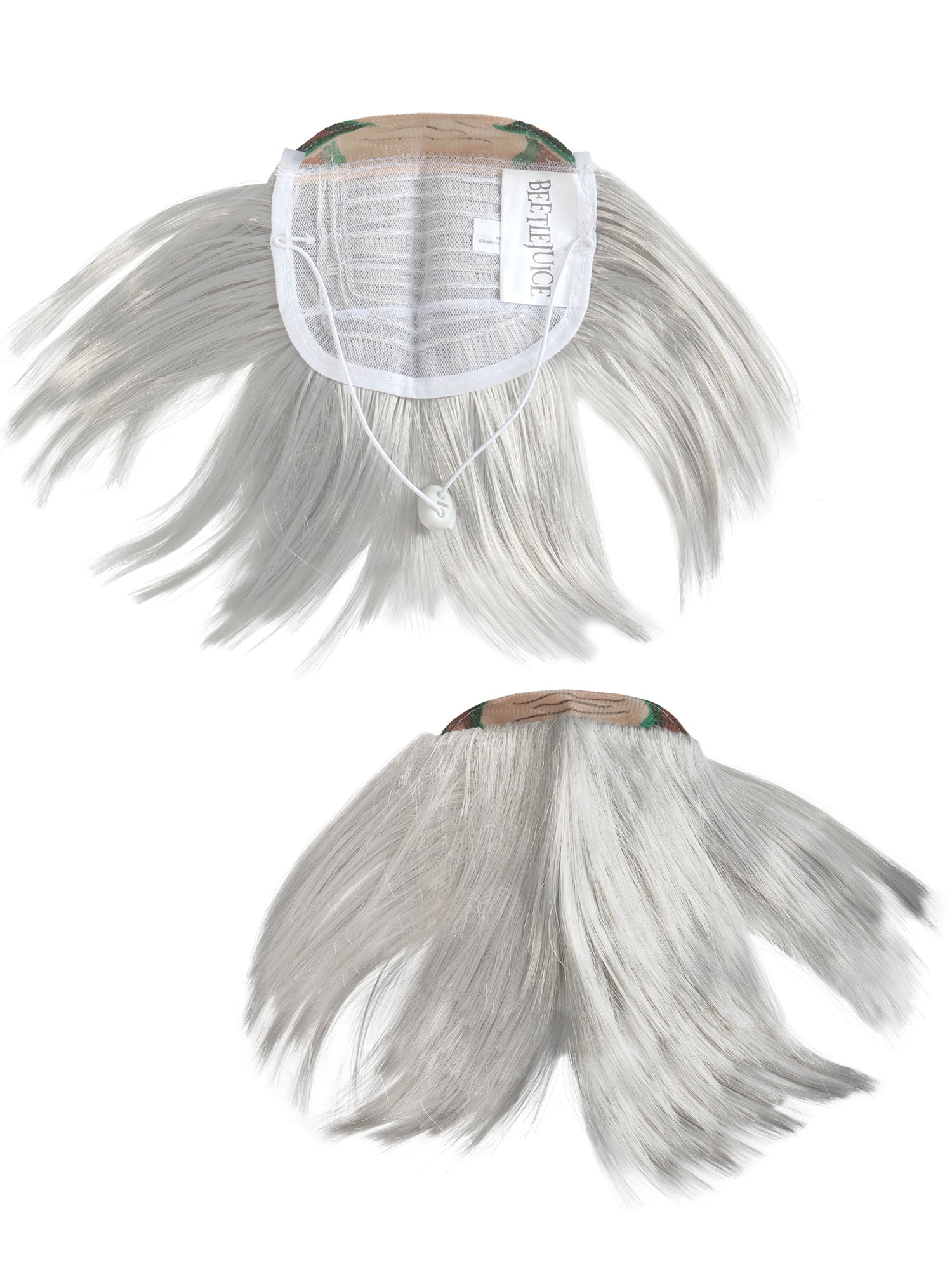 Beetlejuice Beetlejuice Pet Costume - costumes.com