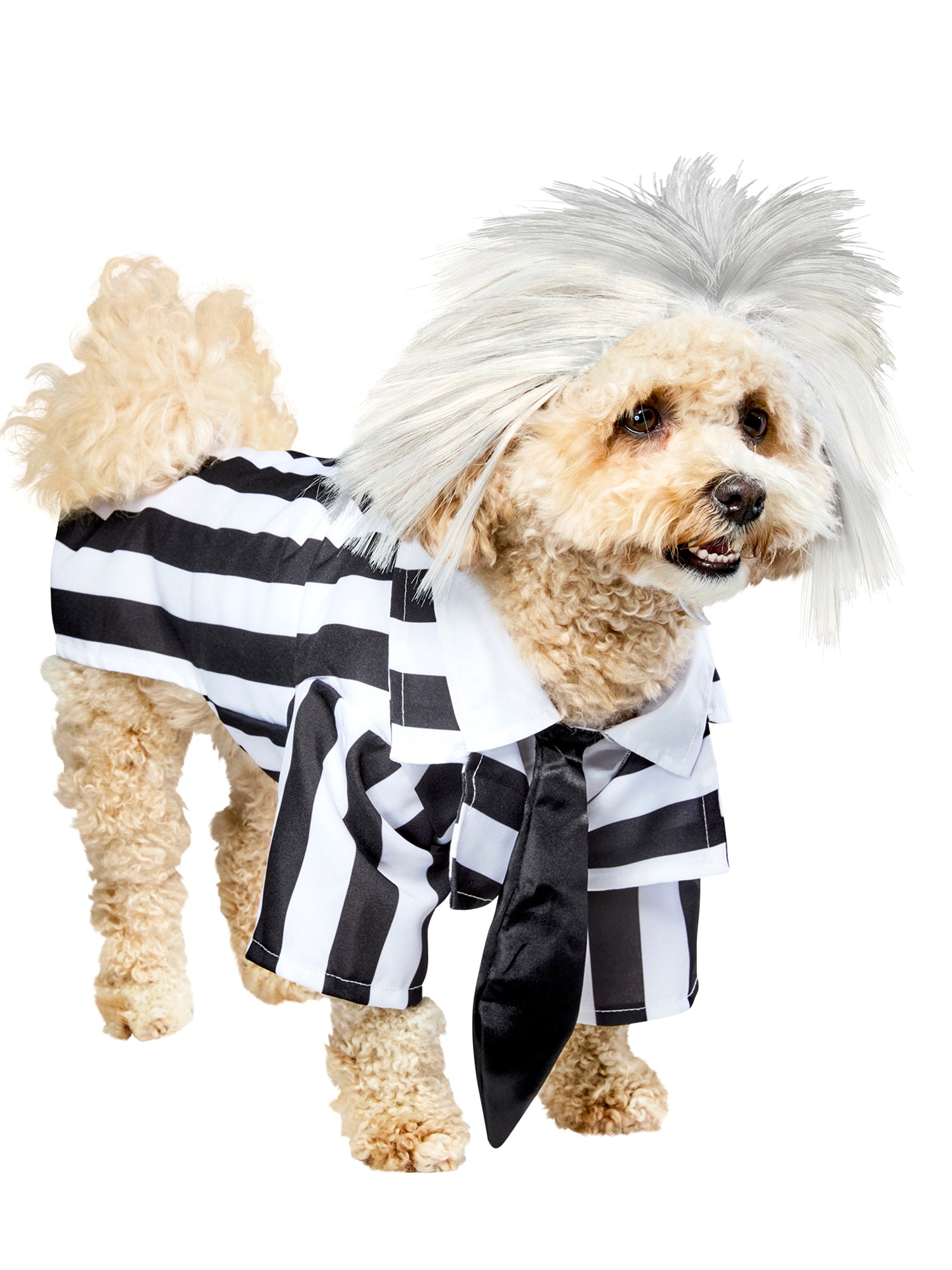 Beetlejuice Beetlejuice Pet Costume - costumes.com