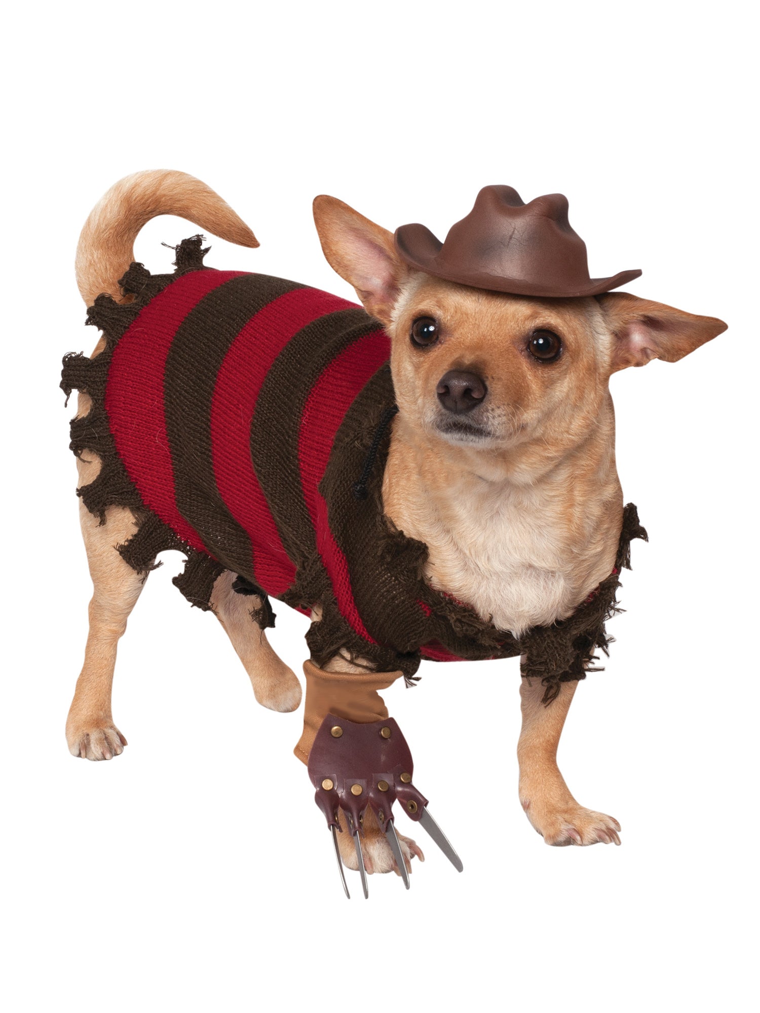 A Nightmare On Elm Street Freddy Krueger Pet Costume - costumes.com