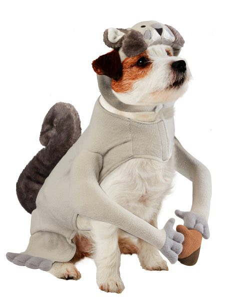 Nutty Squirrel Pet Costume