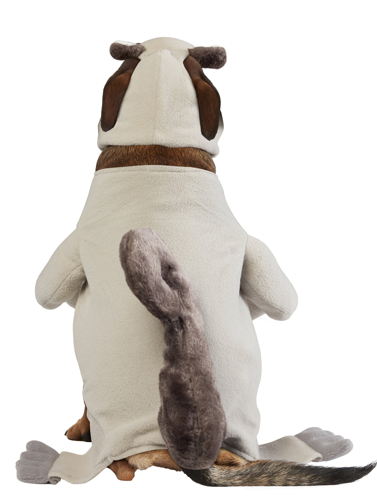 Nutty Squirrel Pet Costume - costumes.com