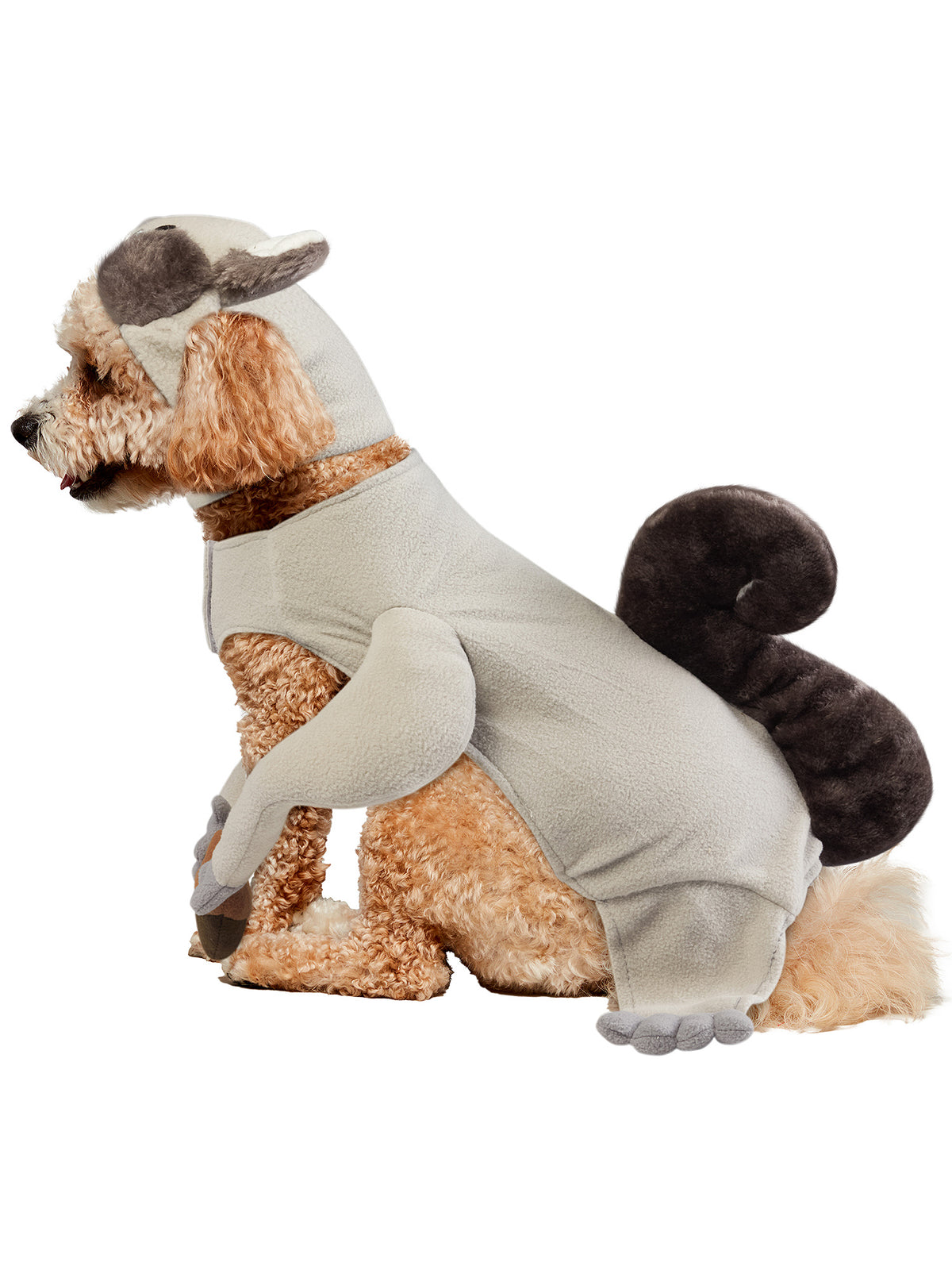 Nutty Squirrel Pet Costume - costumes.com