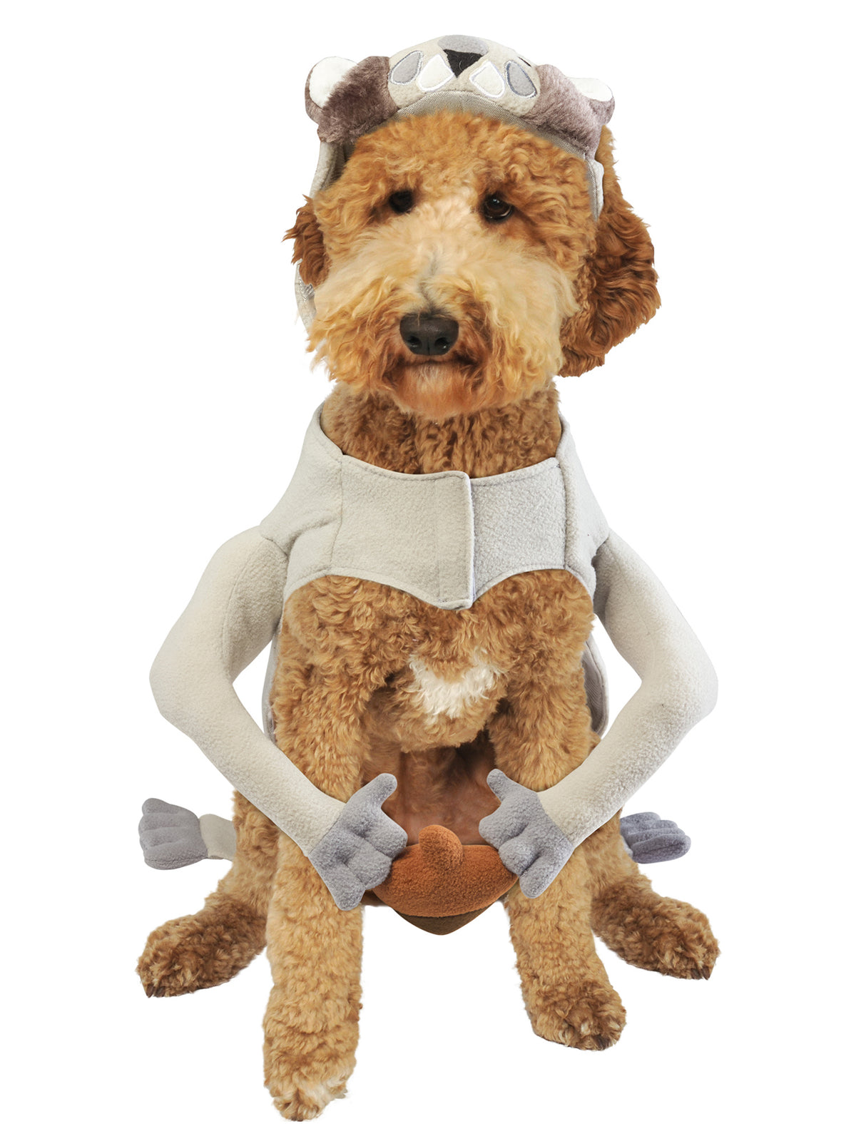 Nutty Squirrel Pet Costume - costumes.com