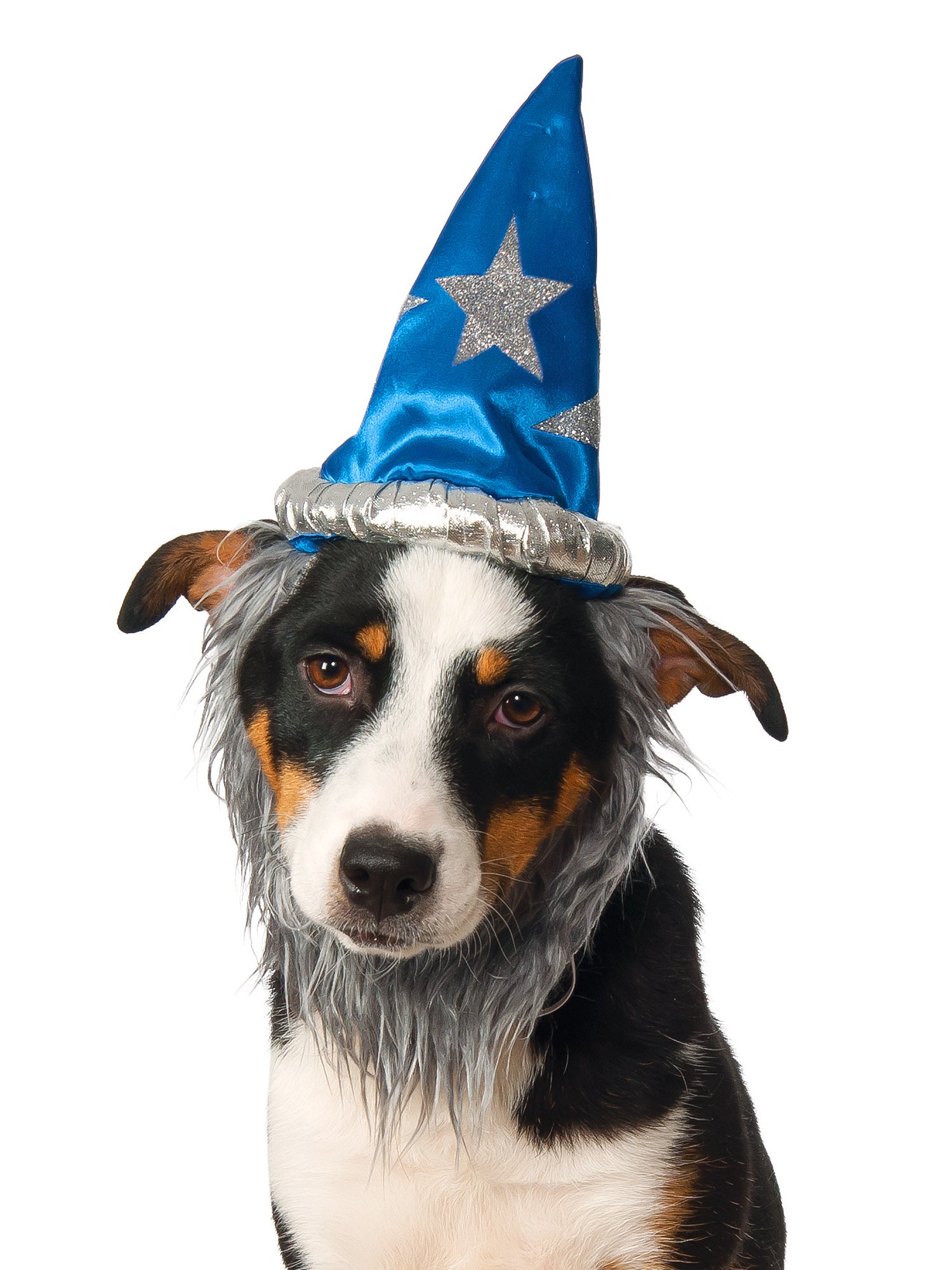 Wizard Pet Hat and Beard - costumes.com