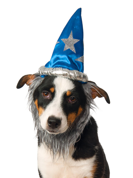 Wizard Pet Hat and Beard