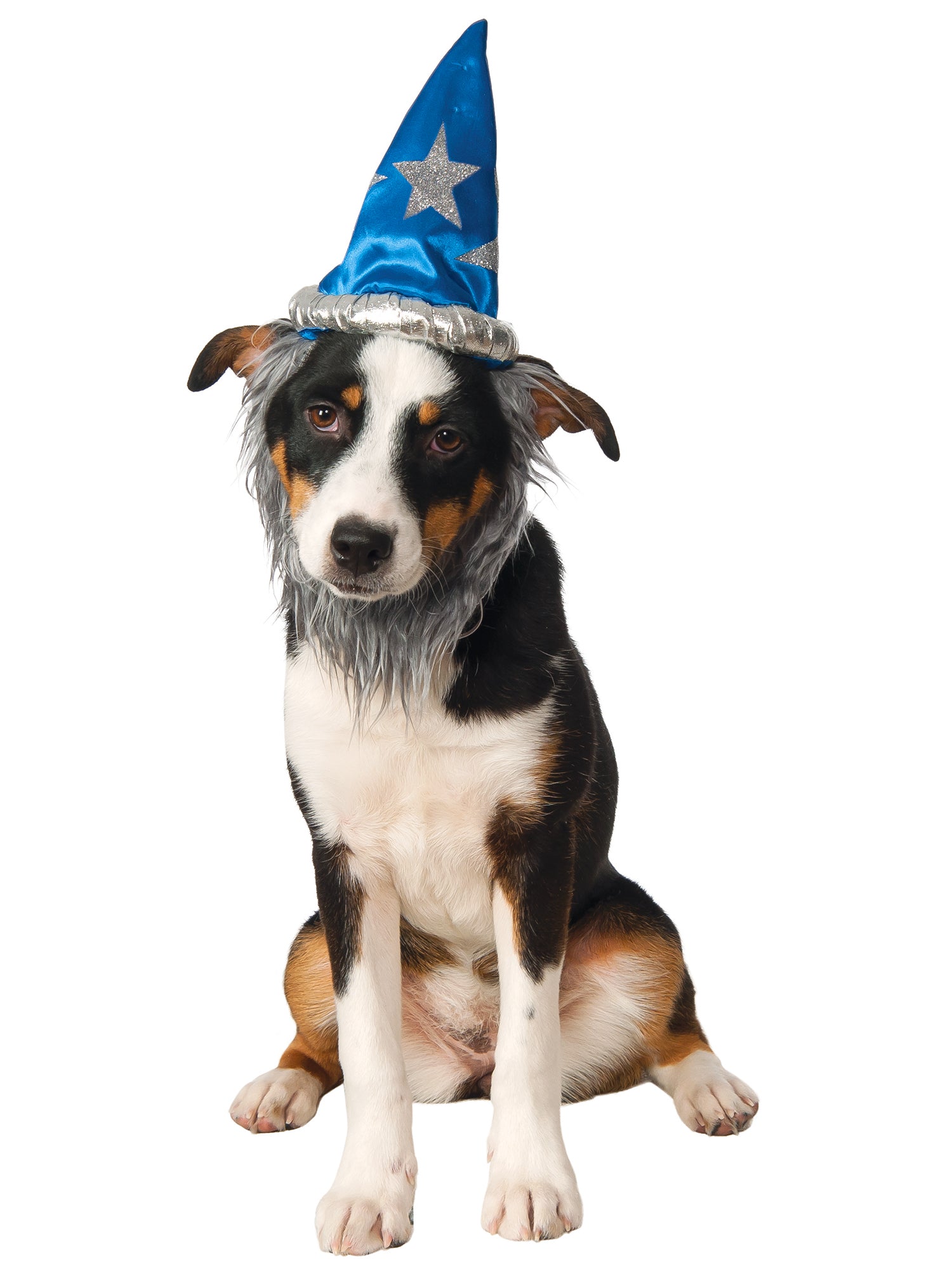Wizard Pet Hat and Beard - costumes.com