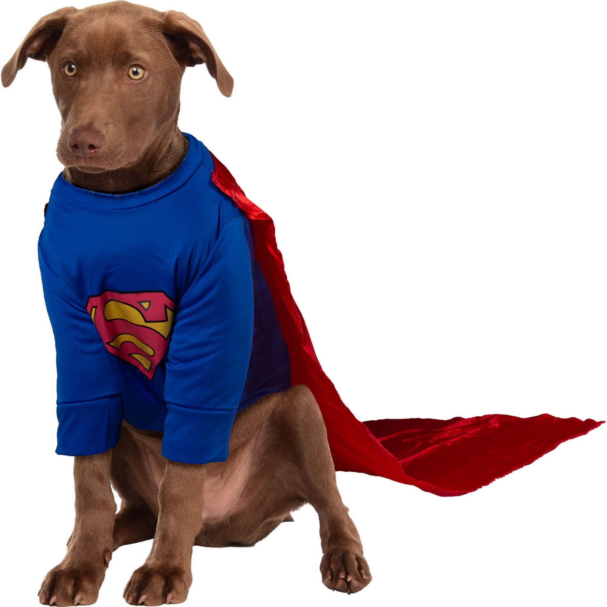 Superman Big Dog Pet Costume - costumes.com