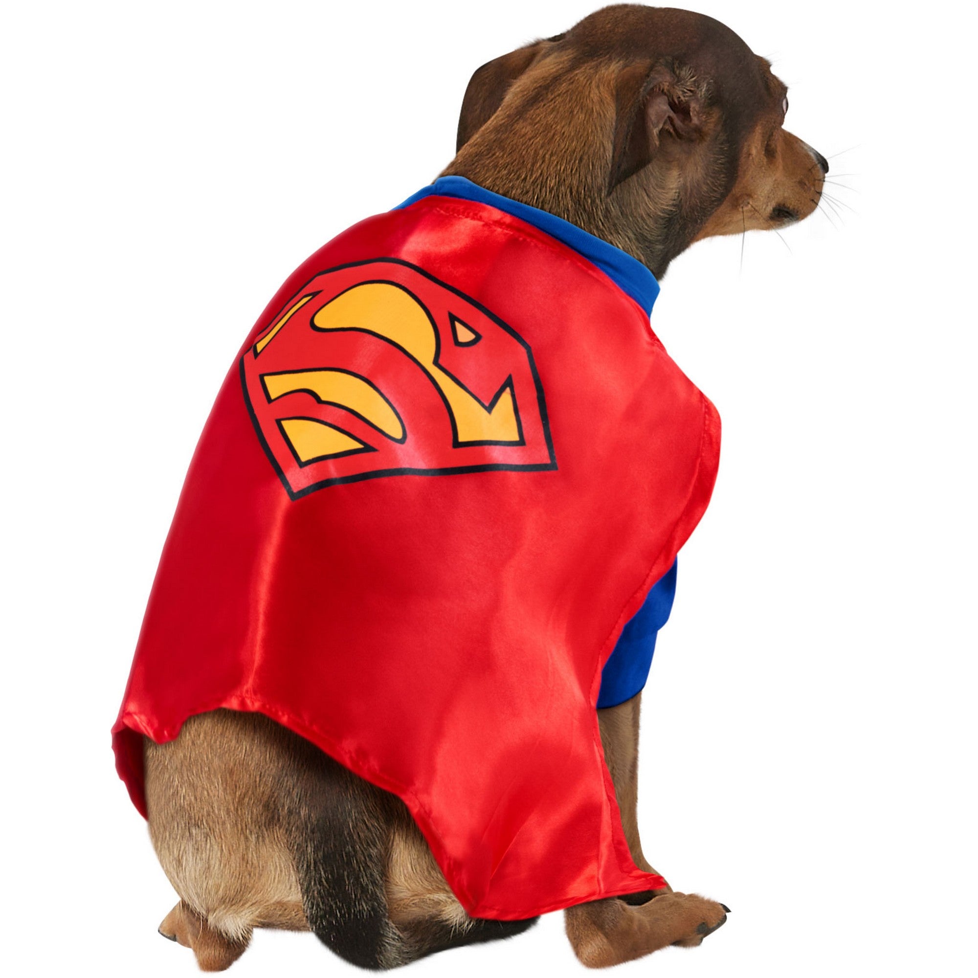 Superman Big Dog Pet Costume - costumes.com