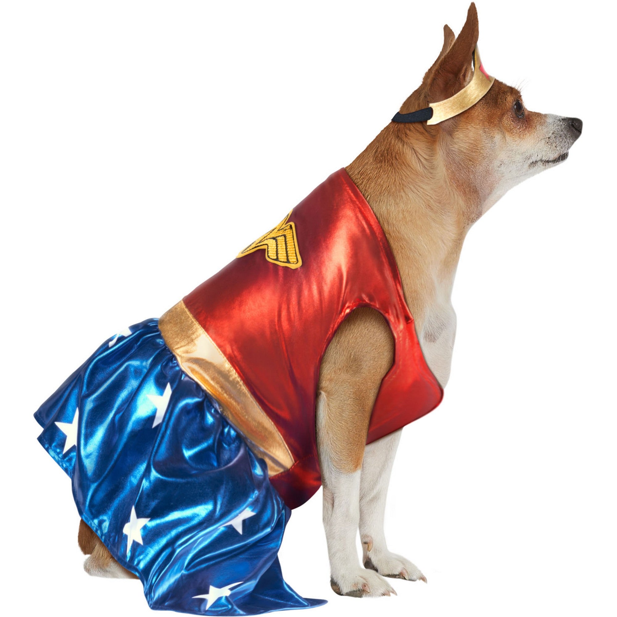 DC Comics Wonder Woman Big Dog Pet Costume - costumes.com