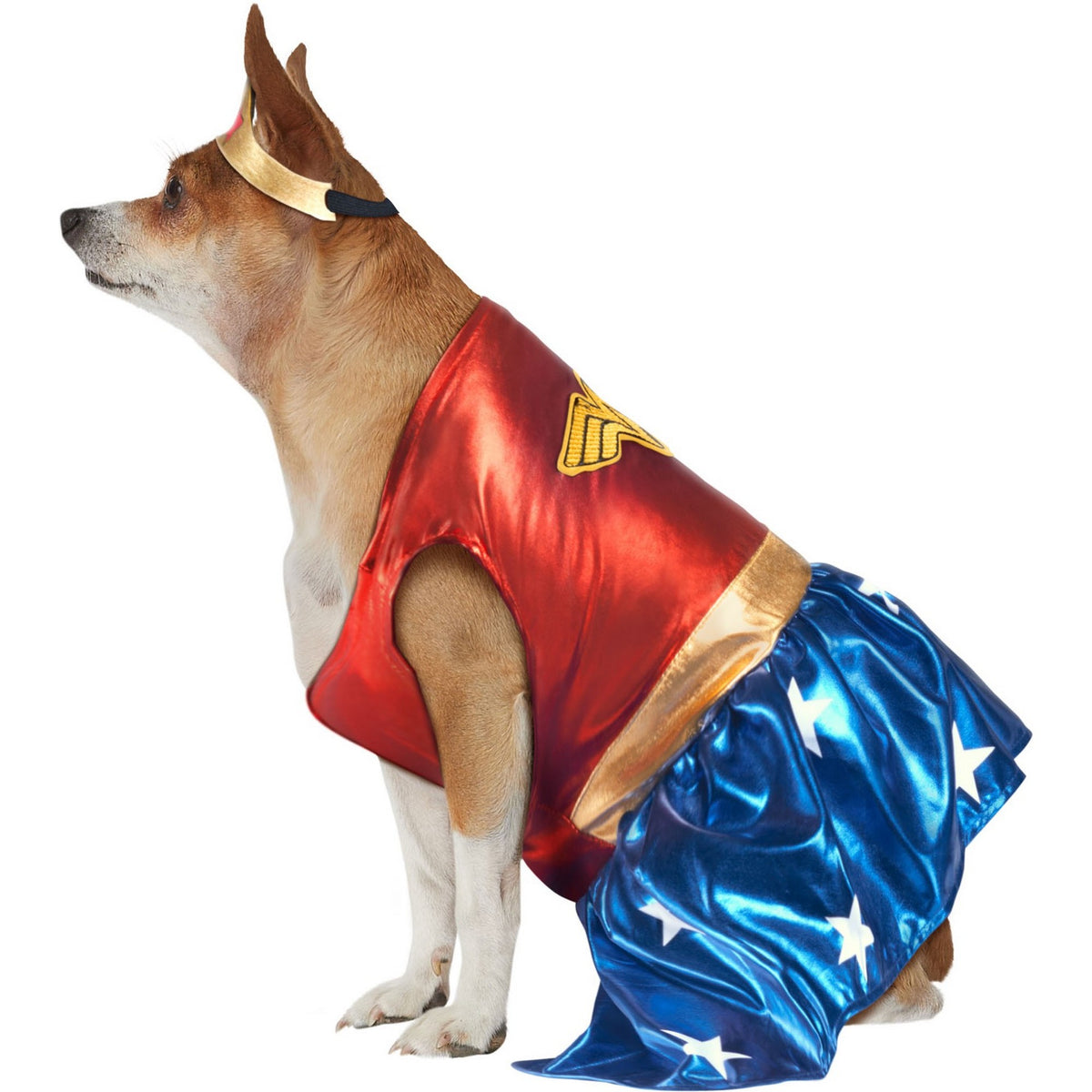 DC Comics Wonder Woman Big Dog Pet Costume - costumes.com