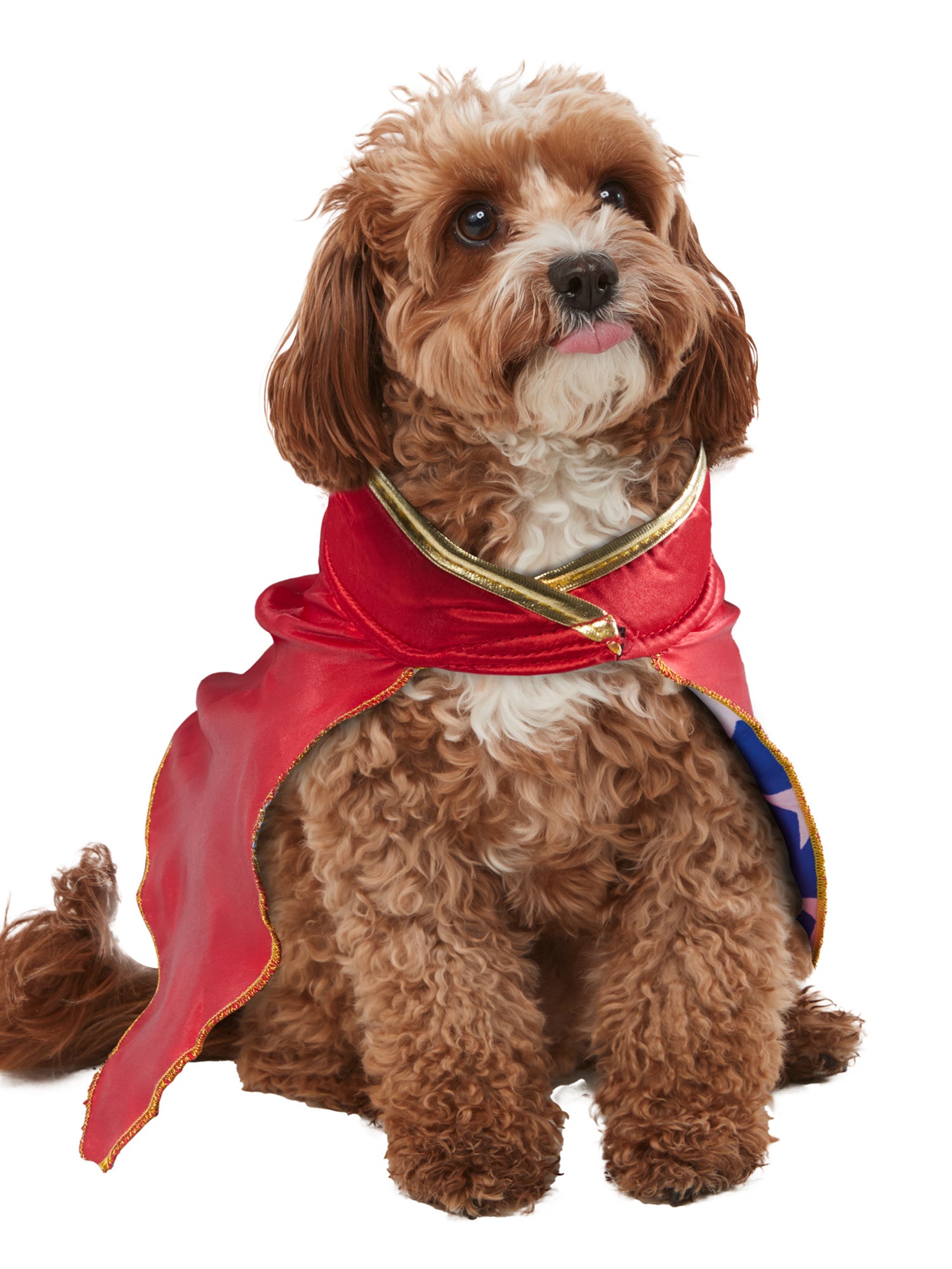 DC Comics Wonder Woman Pet Cape - costumes.com