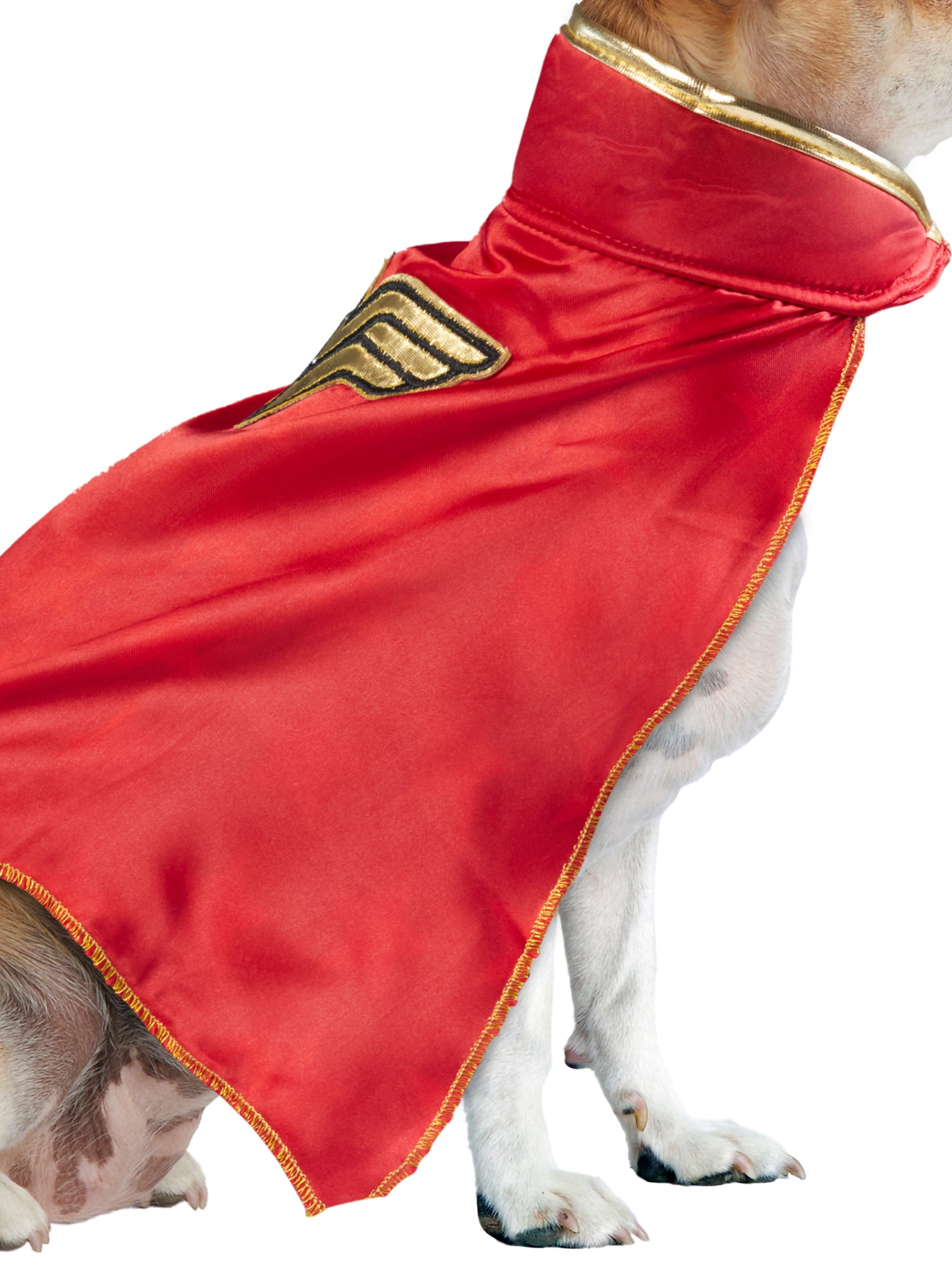 DC Comics Wonder Woman Pet Cape - costumes.com