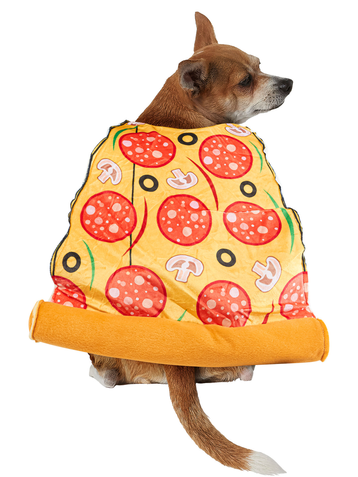 Pizza Slice Pet Costume - costumes.com