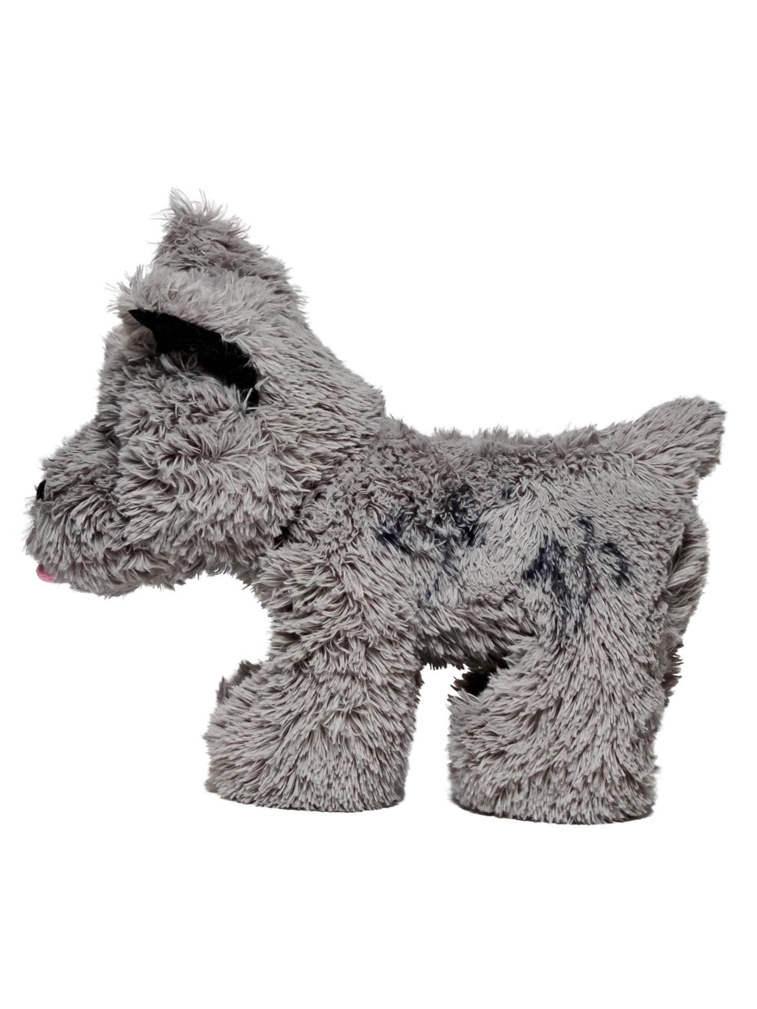 Adult Wizard of Oz Toto in a Basket - Deluxe Accessory