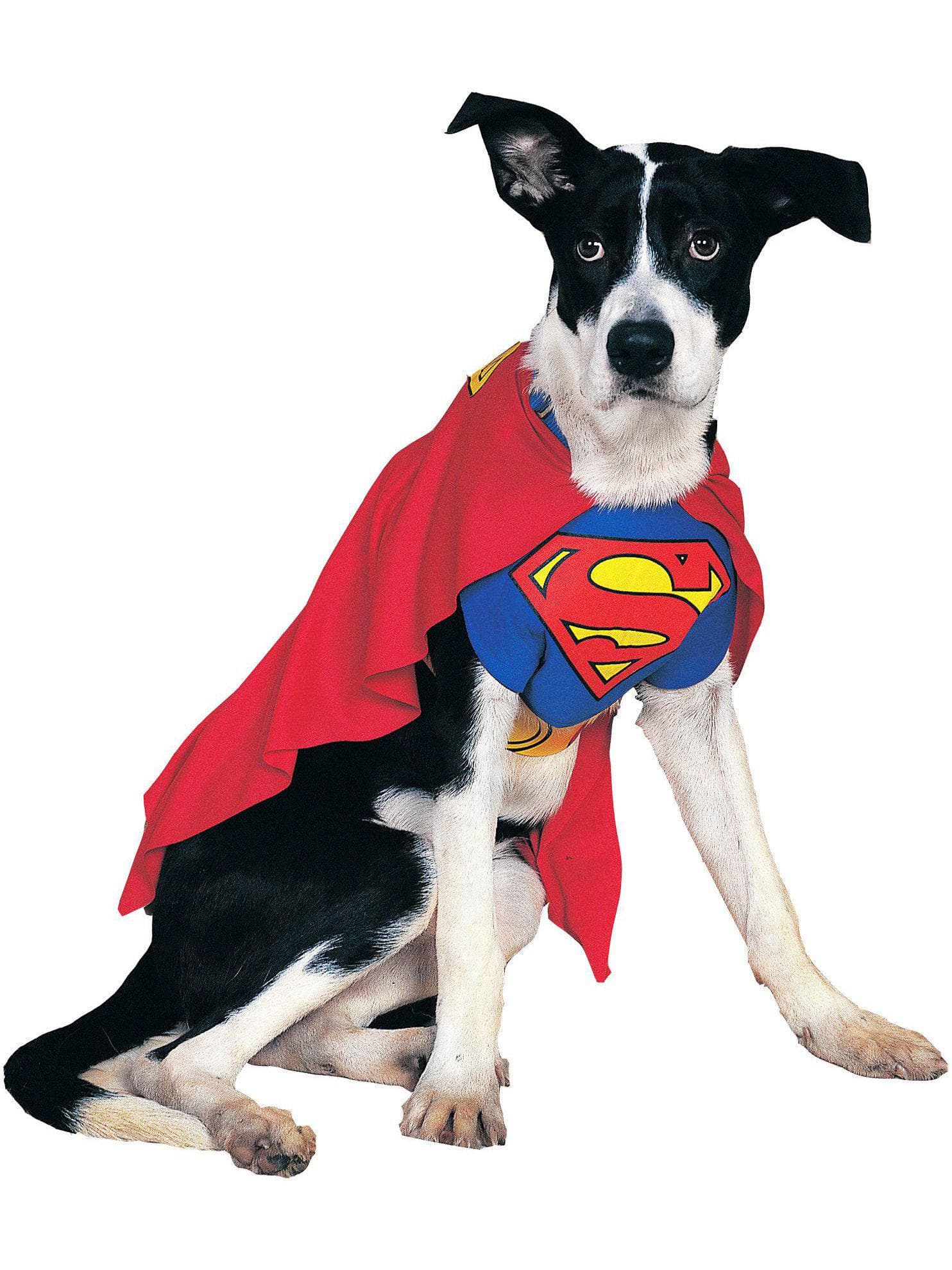 DC Comics Superman Pet Costume - Classic - costumes.com