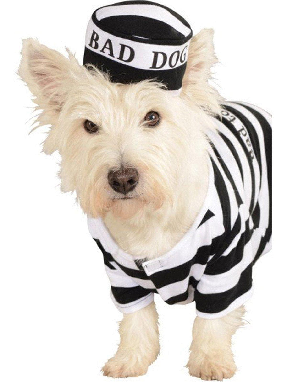 Bad Dog Prisoner Pet Costume - costumes.com
