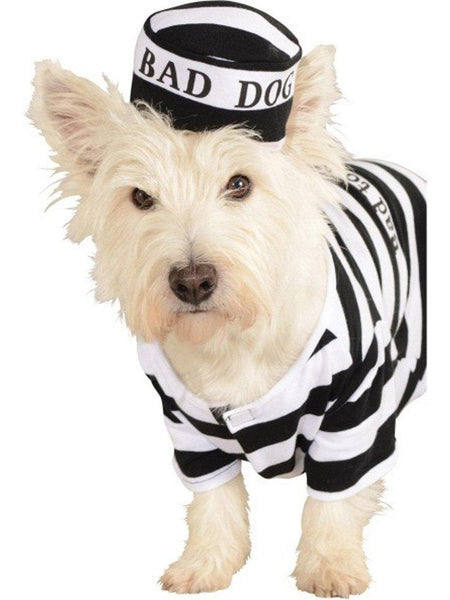 Bad Dog Prisoner Pet Costume