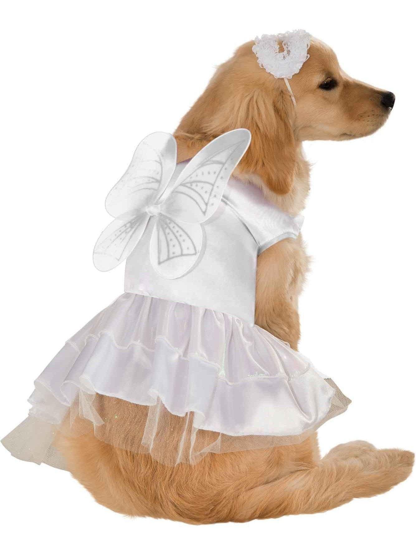 Pet Angel Costume - costumes.com