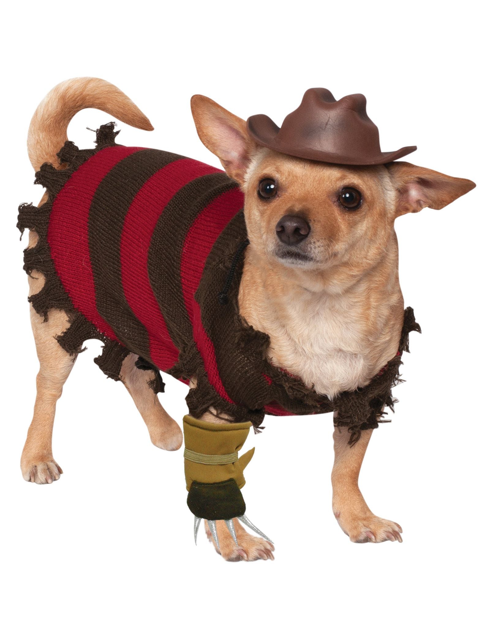 A Nightmare On Elm Street Freddy Krueger Pet Costume - costumes.com