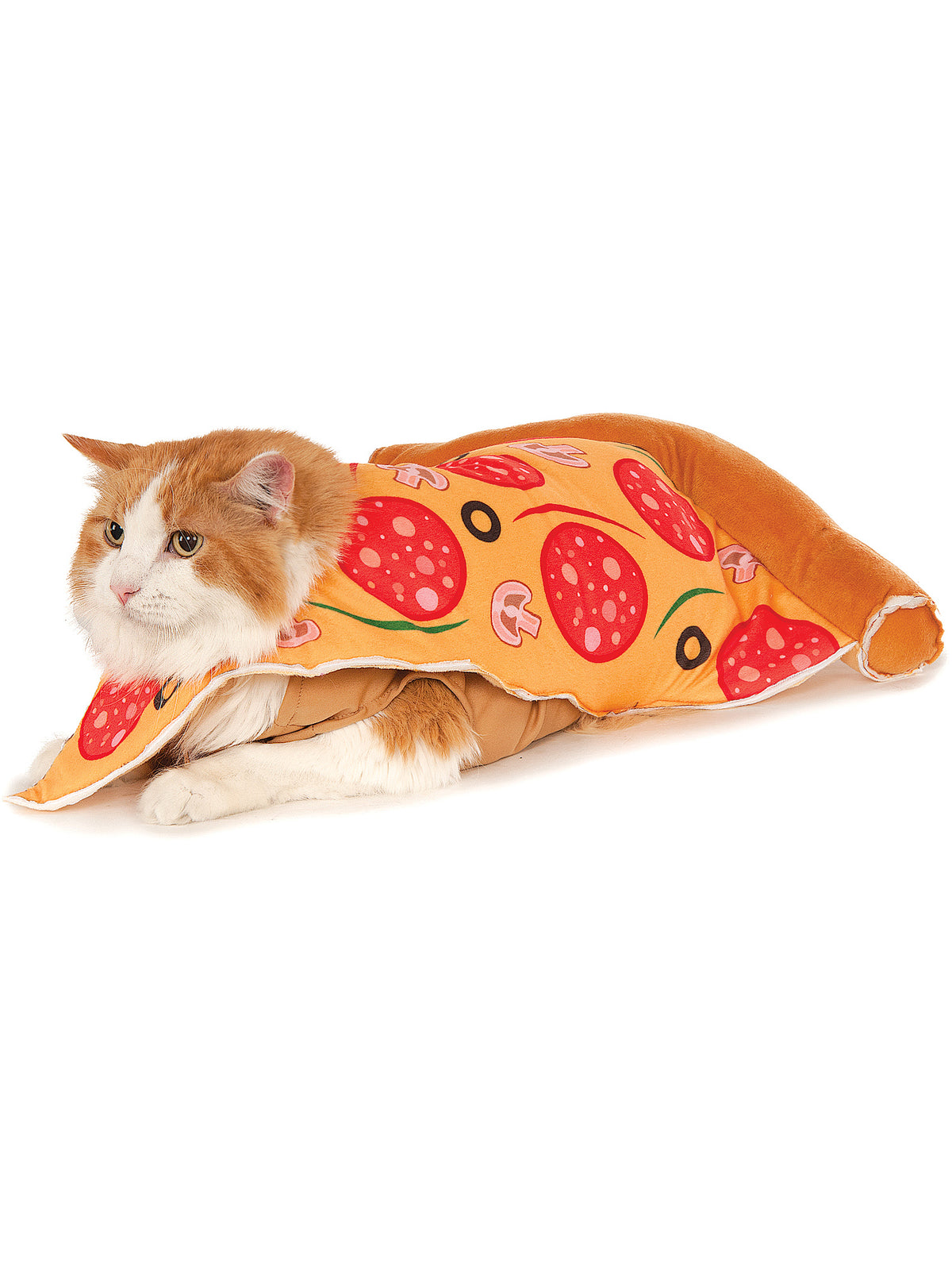 Pizza Slice Pet Costume - costumes.com