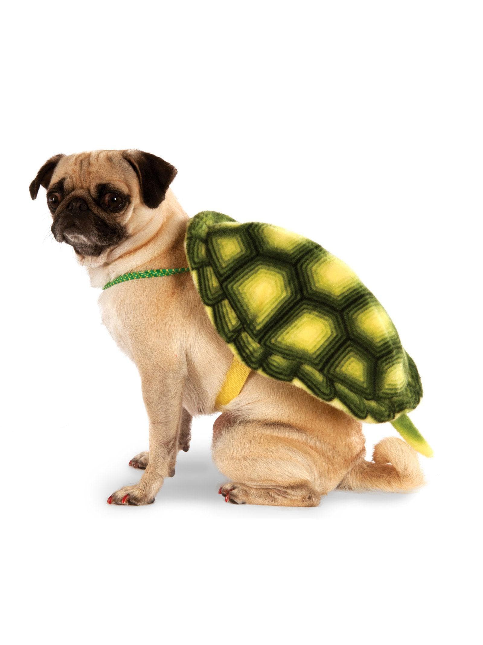 Turtle Shell Pet Costume - costumes.com