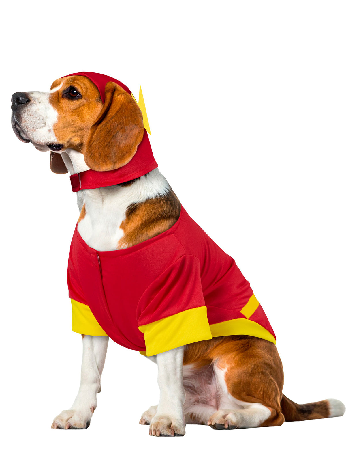 Justice League Flash Pet Costume - costumes.com